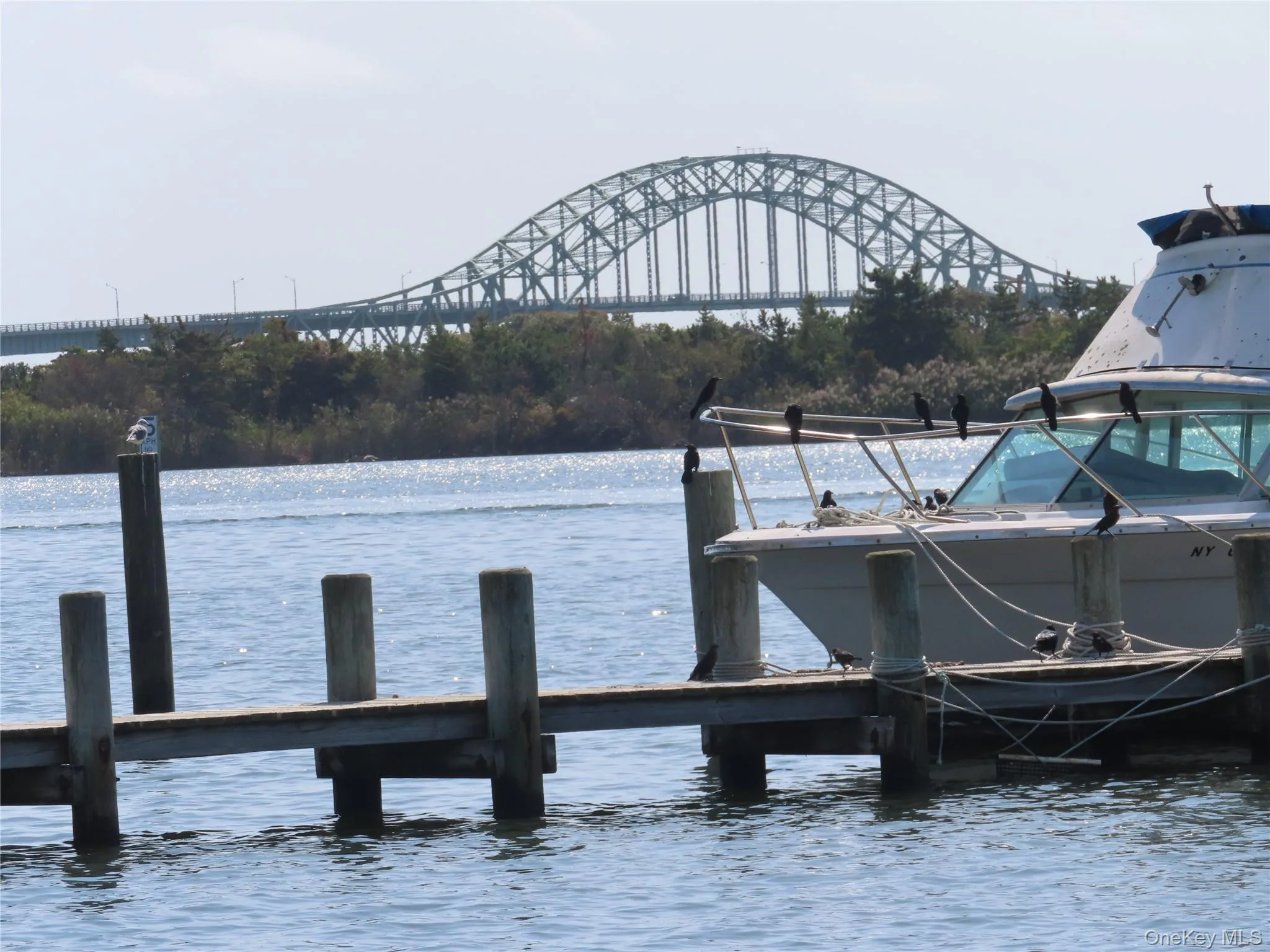 Dock featuring a water view Dock featuring a water view