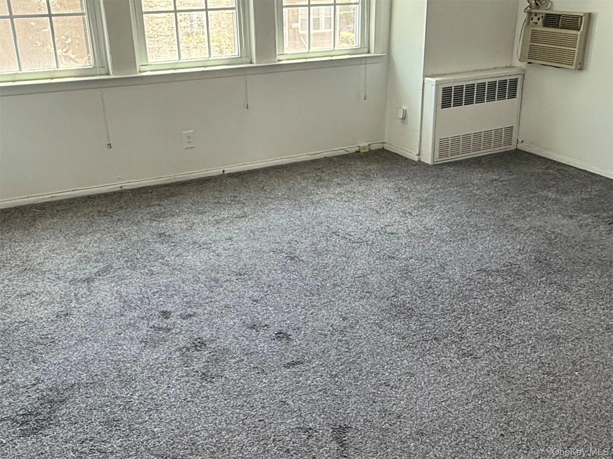 8838 247th Street, New York, NY, 2 Bedrooms Bedrooms, 5 Rooms Rooms,1 BathroomBathrooms,Residential Lease,For Rent,247th,0,1039779 8838 247th Street, New York, NY, 2 Bedrooms Bedrooms, 5 Rooms Rooms,1 BathroomBathrooms,Residential Lease,For Rent,247th,0,1039779