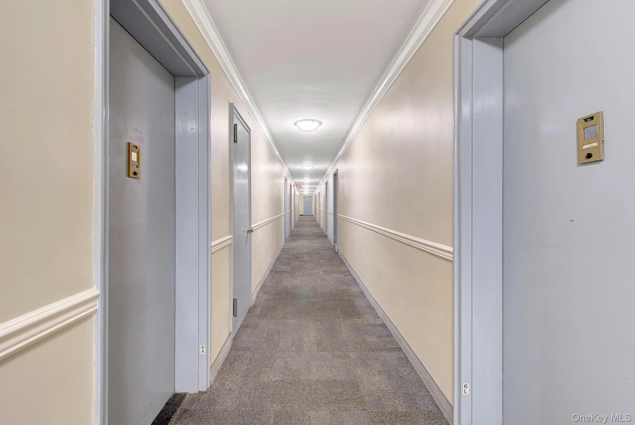 54-40 Little Neck Parkway, New York, NY, 1 Bedroom Bedrooms, 3 Rooms Rooms,1 BathroomBathrooms,Residential,For Rent,Little Neck,0,1039783 54-40 Little Neck Parkway, New York, NY, 1 Bedroom Bedrooms, 3 Rooms Rooms,1 BathroomBathrooms,Residential,For Rent,Little Neck,0,1039783