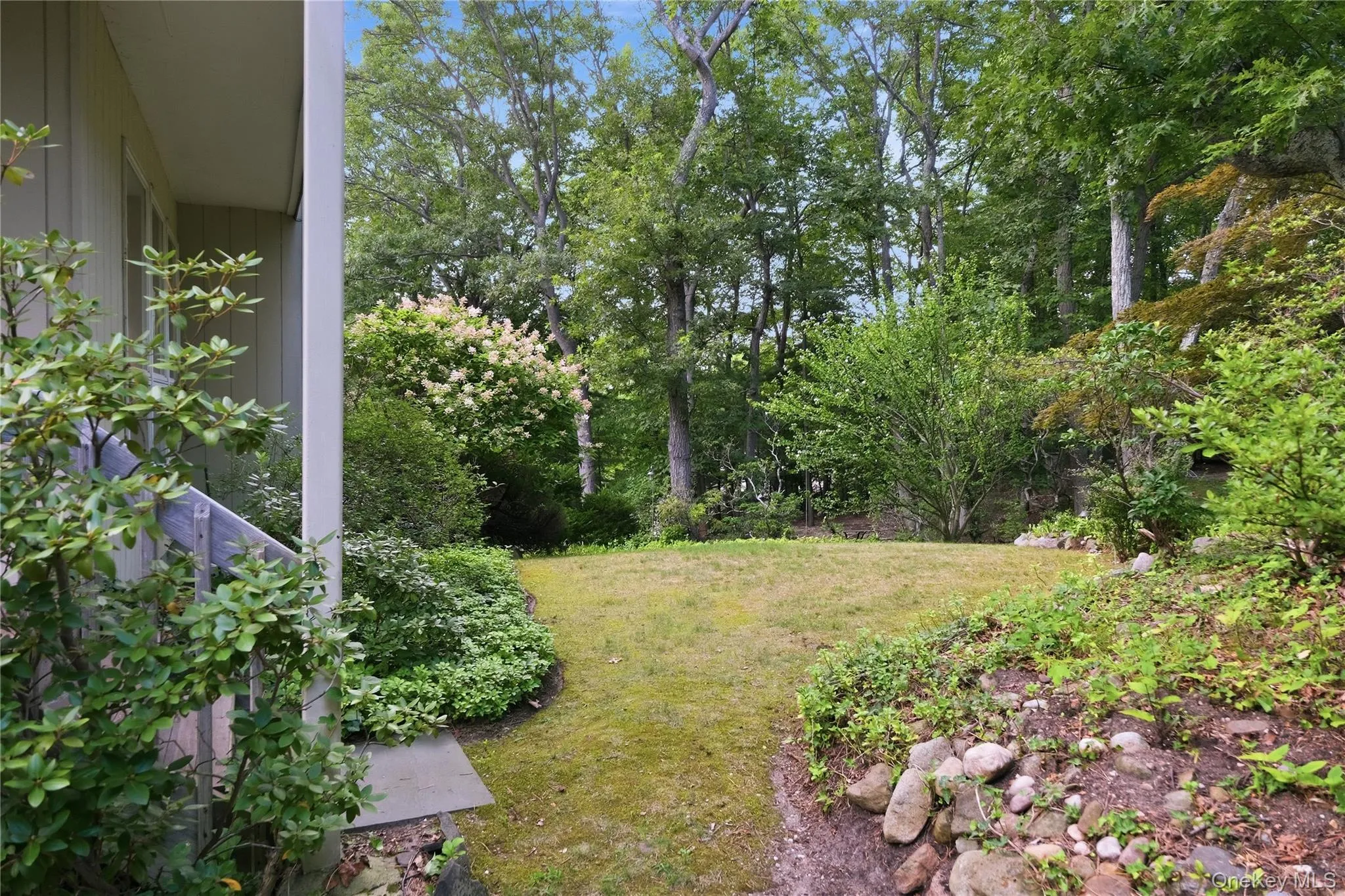 Backyard Backyard