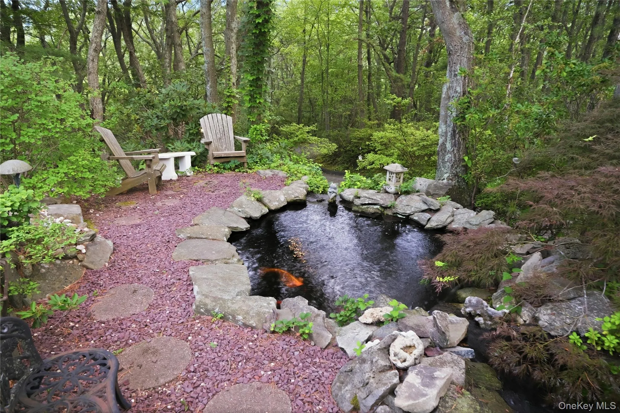 Koi Pond Koi Pond