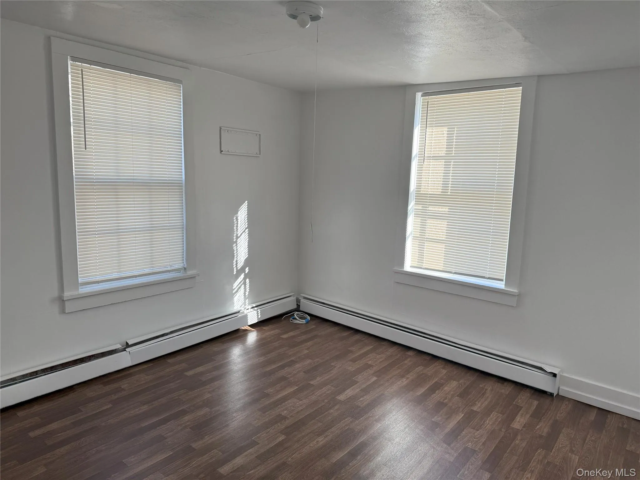 Empty room featuring dark wood-type flooring, a healthy amount of sunlight, and baseboard heating Empty room featuring dark wood-type flooring, a healthy amount of sunlight, and baseboard heating