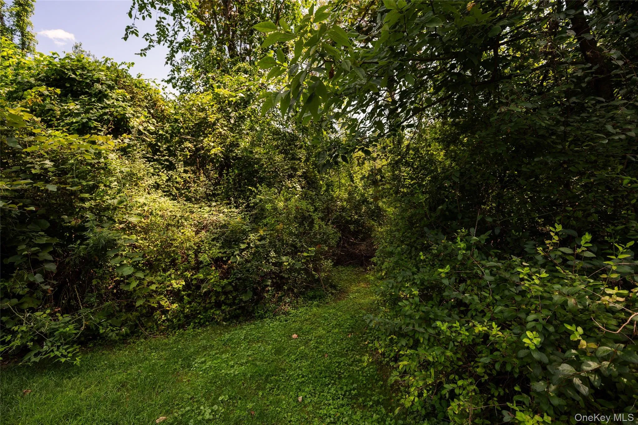 555 Plutarch, New Paltz, NY, 4 Bedrooms Bedrooms, 8 Rooms Rooms,2 BathroomsBathrooms,Residential,For Rent,Plutarch,0,1039842 555 Plutarch, New Paltz, NY, 4 Bedrooms Bedrooms, 8 Rooms Rooms,2 BathroomsBathrooms,Residential,For Rent,Plutarch,0,1039842