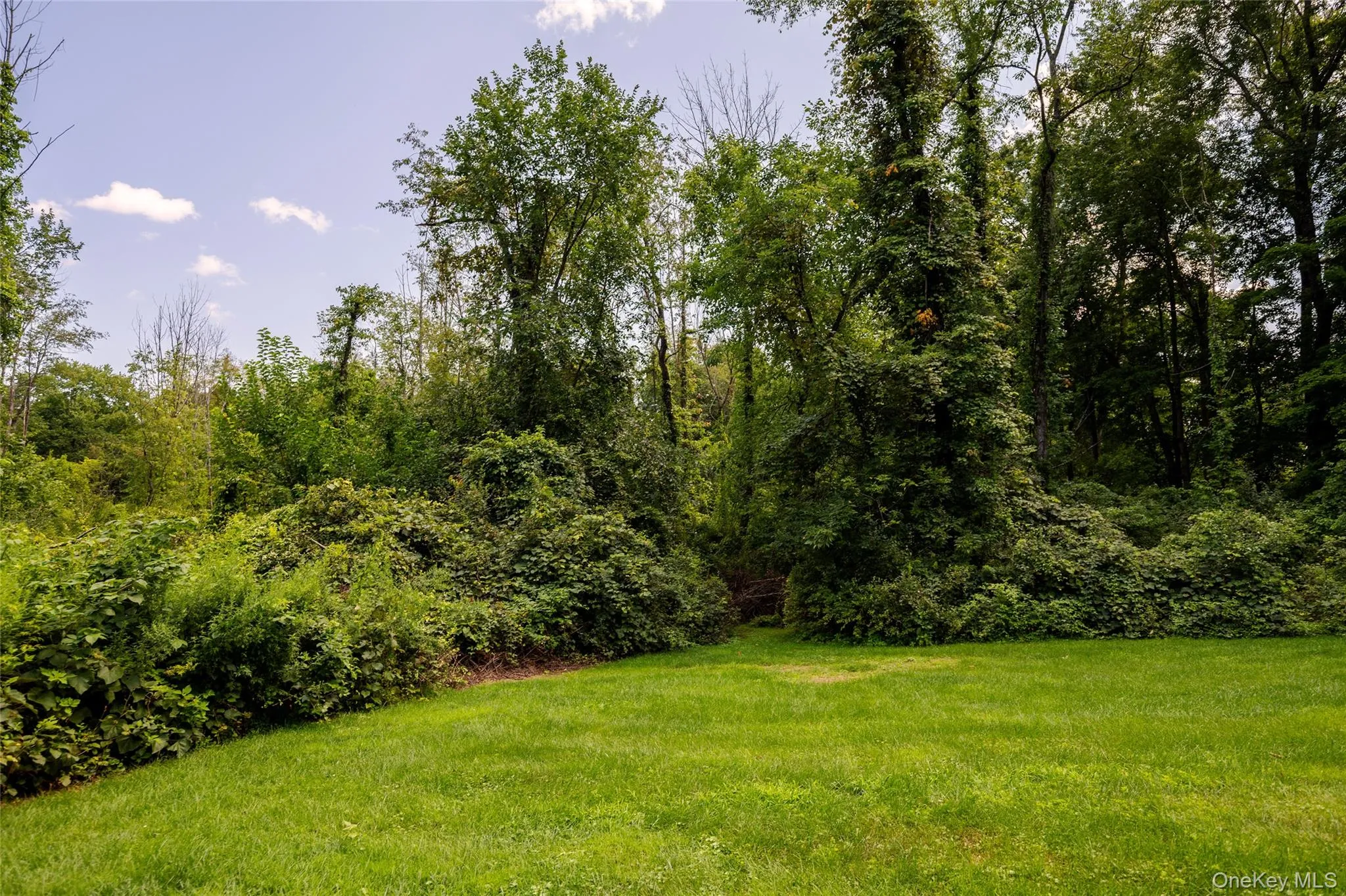 Open land into 6+ acres of nature Open land into 6+ acres of nature
