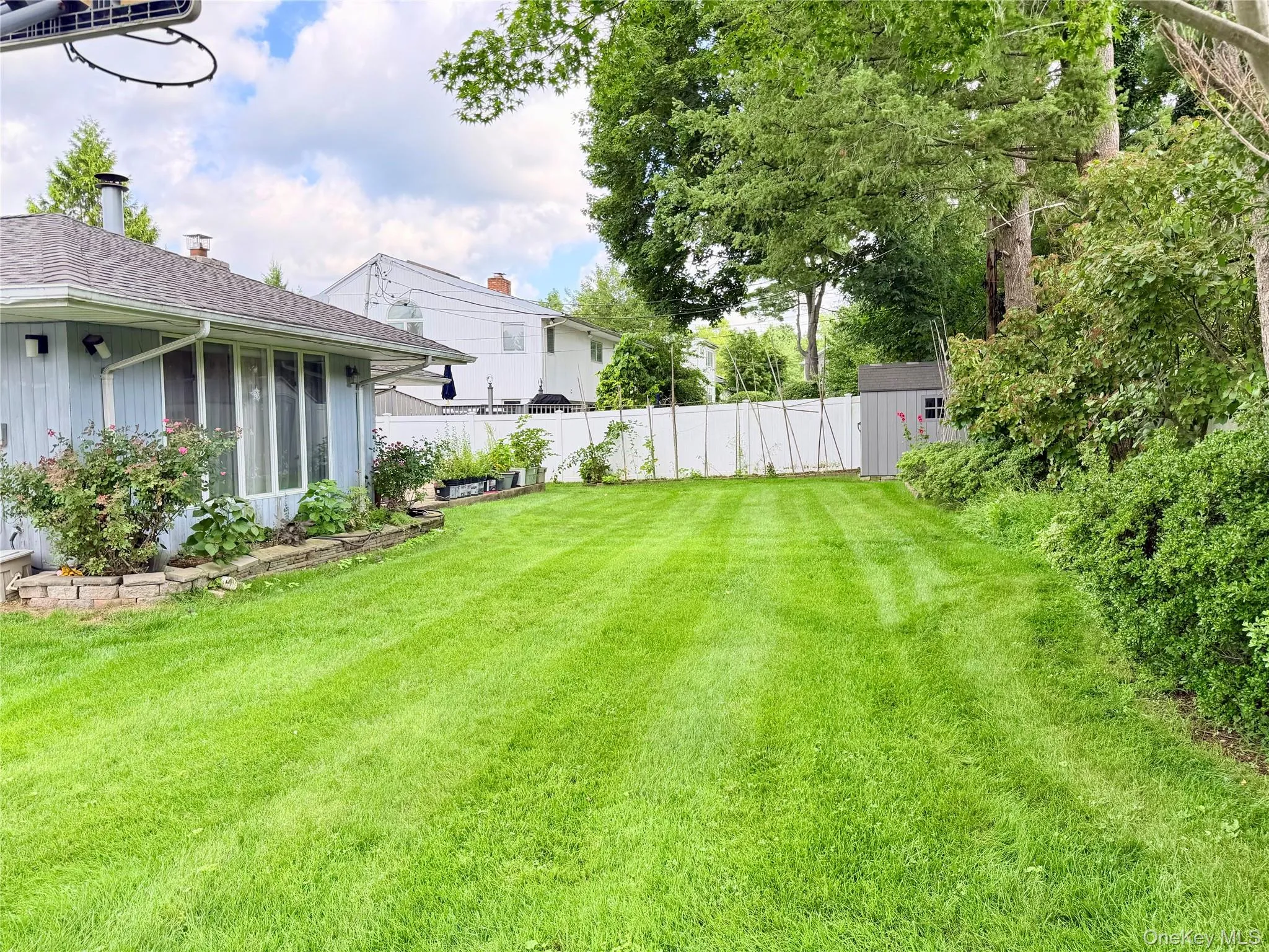 Backyard Backyard