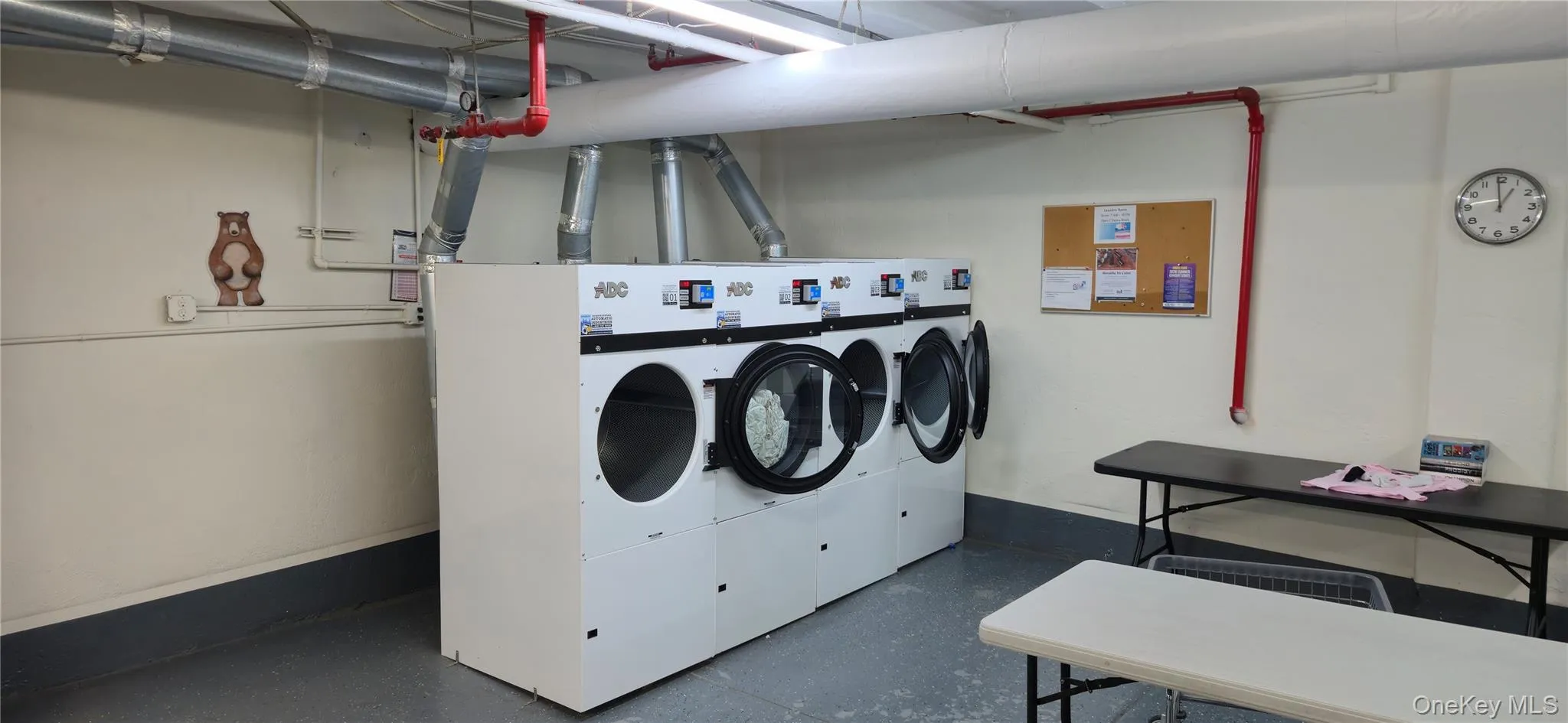 83-00 Talbot Street, New York, NY, 1 Bedroom Bedrooms, 2 Rooms Rooms,1 BathroomBathrooms,Residential,For Rent,Talbot,0,1039848 83-00 Talbot Street, New York, NY, 1 Bedroom Bedrooms, 2 Rooms Rooms,1 BathroomBathrooms,Residential,For Rent,Talbot,0,1039848