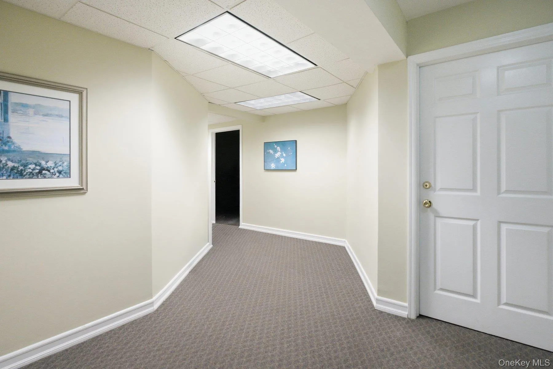 Hallway in Lower Level Hallway in Lower Level