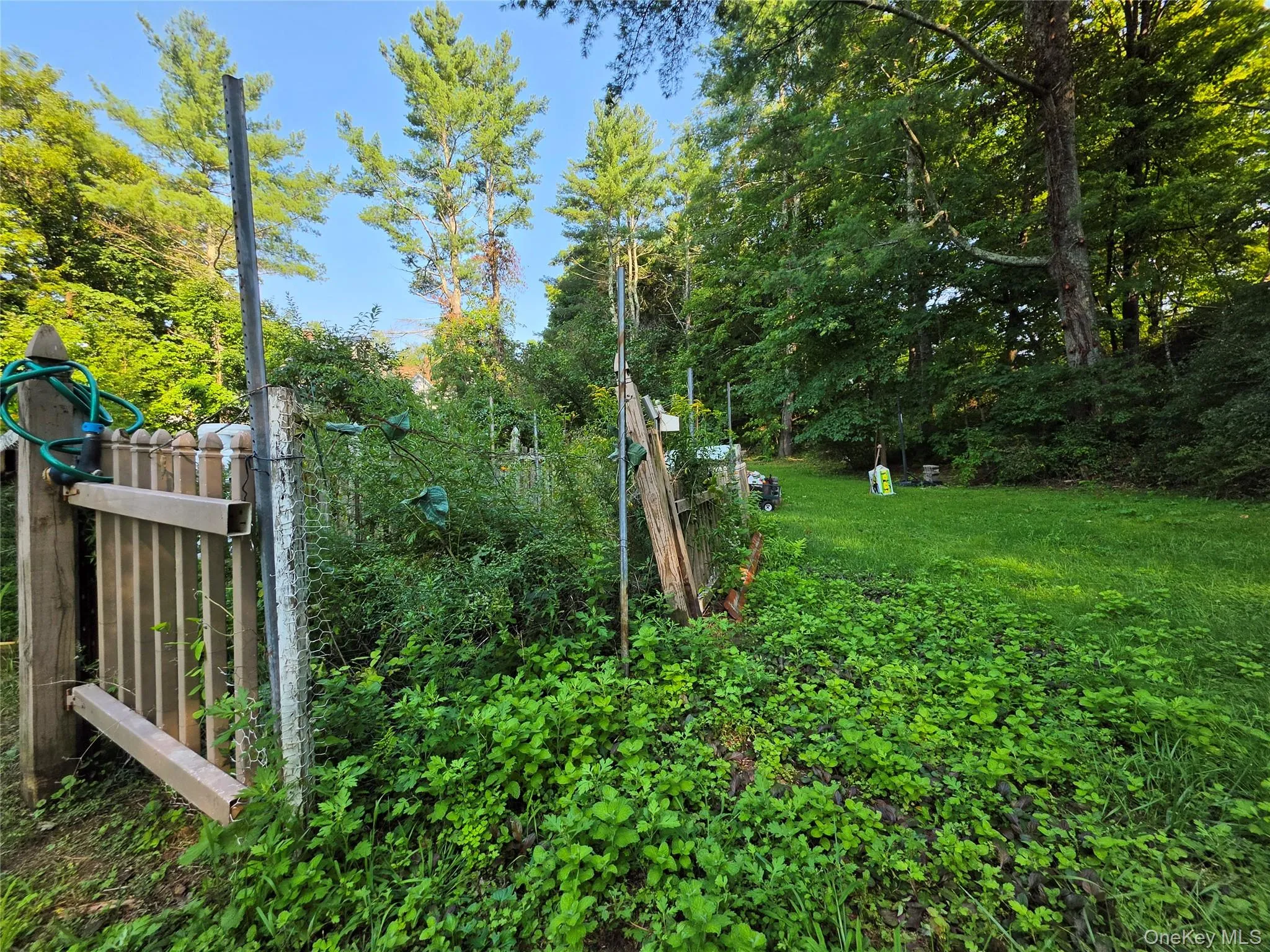 116 Summitville Road, Mamakating, NY, 3 Bedrooms Bedrooms, 5 Rooms Rooms,1 BathroomBathrooms,Residential,For Rent,Summitville,0,1039862 116 Summitville Road, Mamakating, NY, 3 Bedrooms Bedrooms, 5 Rooms Rooms,1 BathroomBathrooms,Residential,For Rent,Summitville,0,1039862