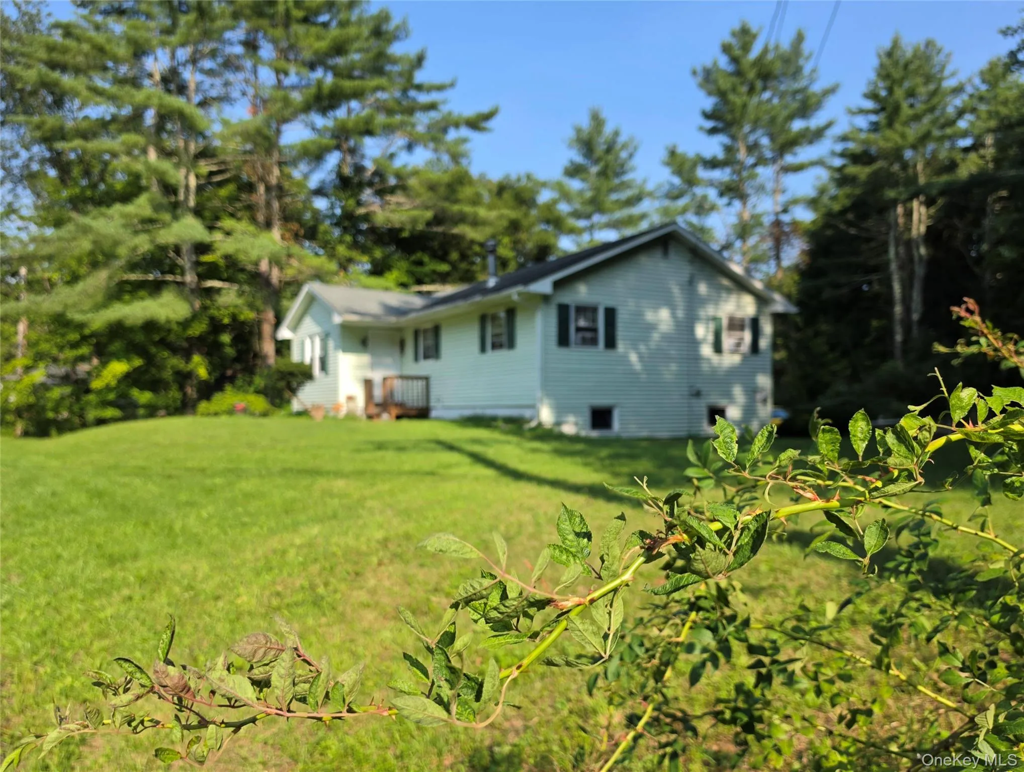 116 Summitville Road, Mamakating, NY, 3 Bedrooms Bedrooms, 5 Rooms Rooms,1 BathroomBathrooms,Residential,For Rent,Summitville,0,1039862 116 Summitville Road, Mamakating, NY, 3 Bedrooms Bedrooms, 5 Rooms Rooms,1 BathroomBathrooms,Residential,For Rent,Summitville,0,1039862
