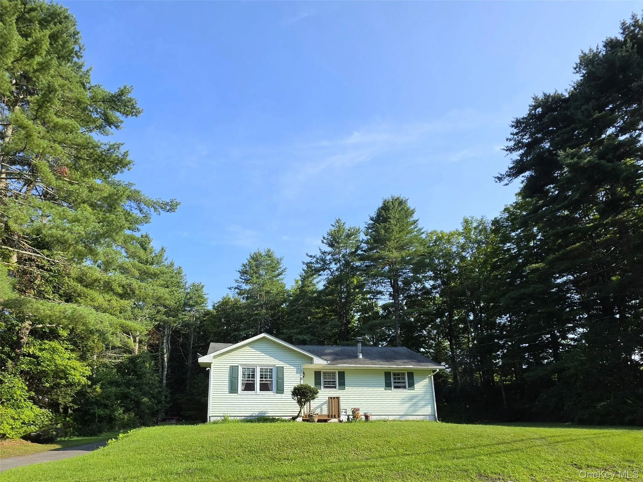 116 Summitville Road, Mamakating, NY, 3 Bedrooms Bedrooms, 5 Rooms Rooms,1 BathroomBathrooms,Residential,For Rent,Summitville,0,1039862 116 Summitville Road, Mamakating, NY, 3 Bedrooms Bedrooms, 5 Rooms Rooms,1 BathroomBathrooms,Residential,For Rent,Summitville,0,1039862