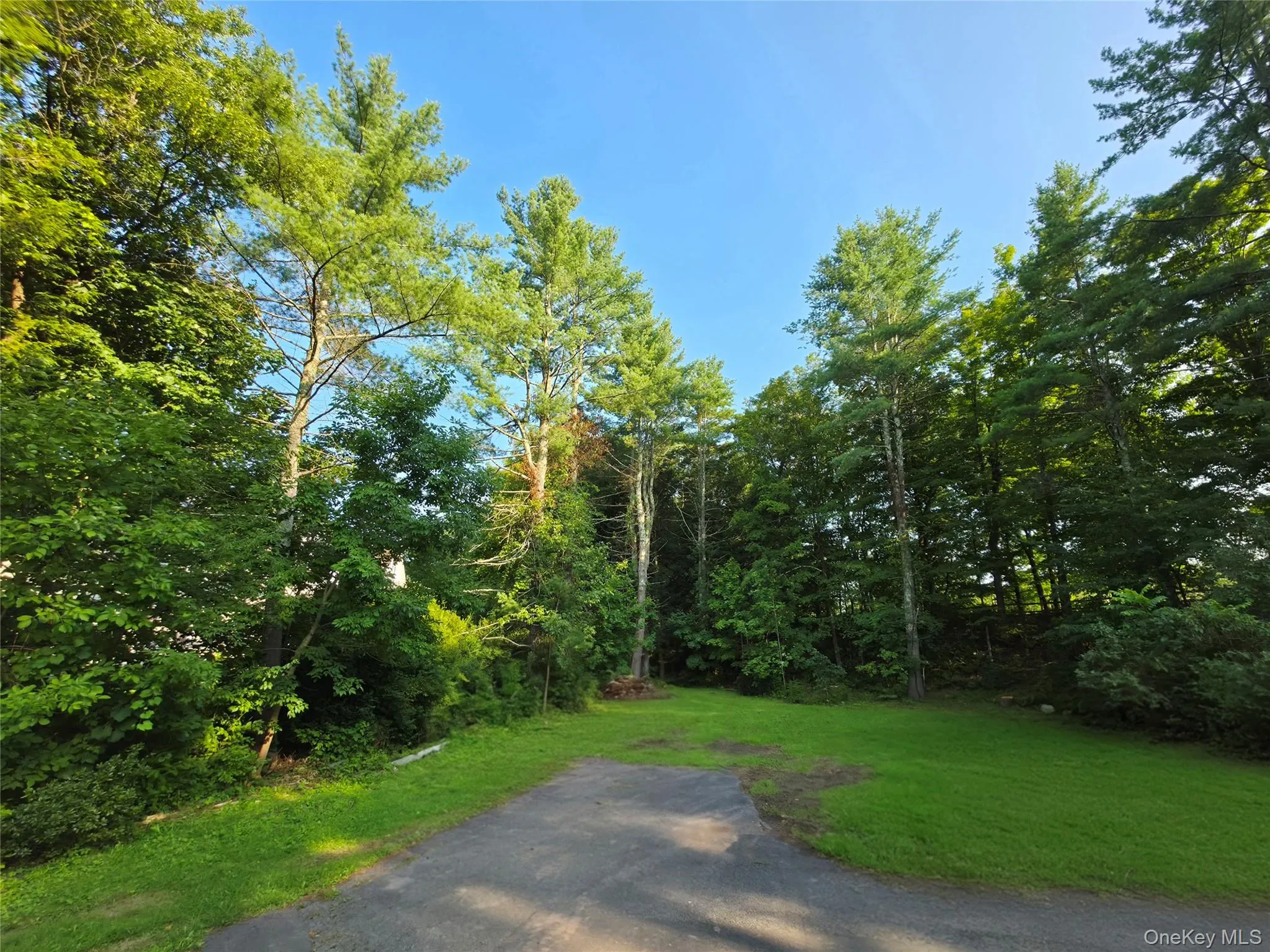 116 Summitville Road, Mamakating, NY, 3 Bedrooms Bedrooms, 5 Rooms Rooms,1 BathroomBathrooms,Residential,For Rent,Summitville,0,1039862 116 Summitville Road, Mamakating, NY, 3 Bedrooms Bedrooms, 5 Rooms Rooms,1 BathroomBathrooms,Residential,For Rent,Summitville,0,1039862