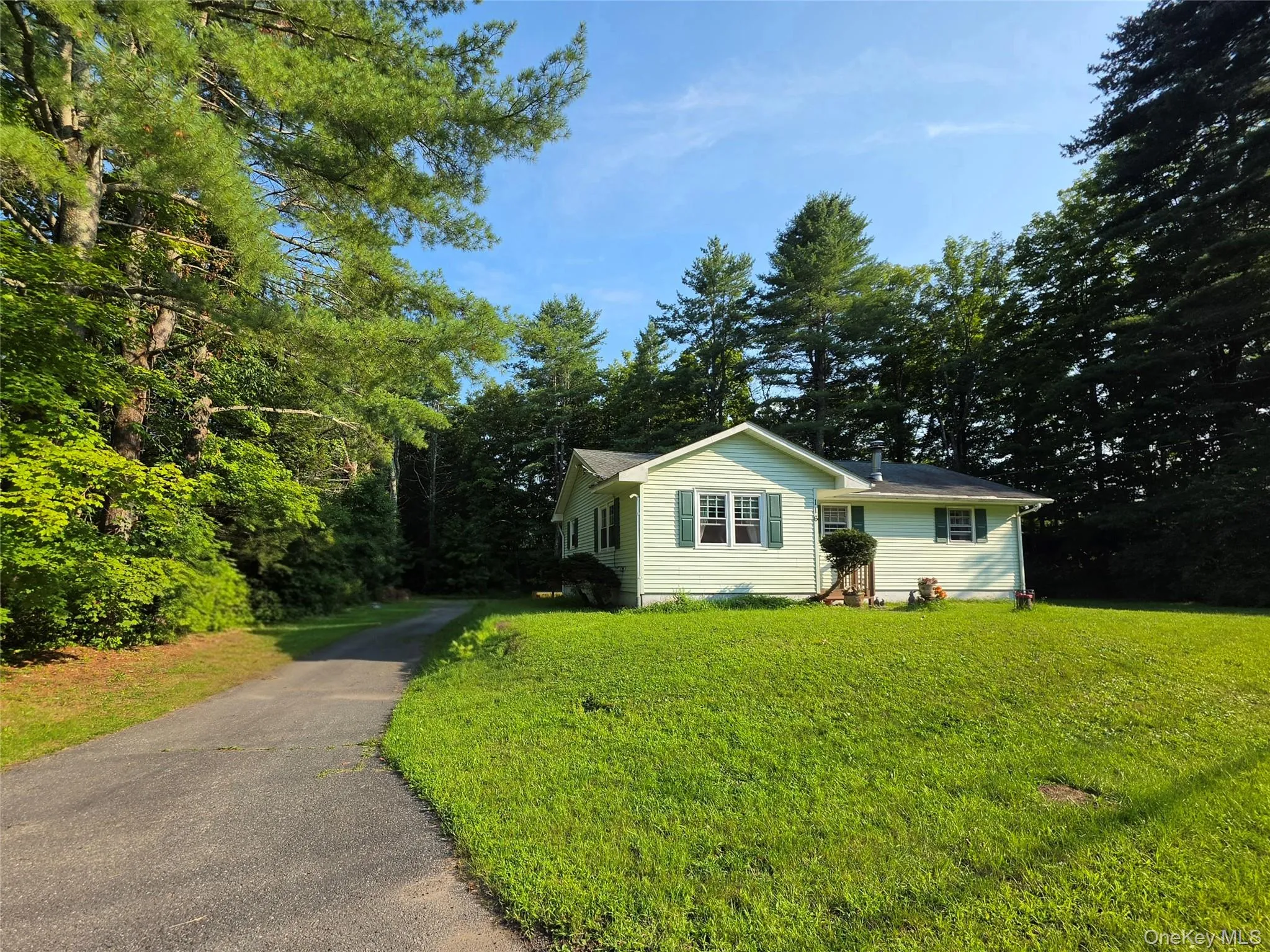 116 Summitville Road, Mamakating, NY, 3 Bedrooms Bedrooms, 5 Rooms Rooms,1 BathroomBathrooms,Residential,For Rent,Summitville,0,1039862 116 Summitville Road, Mamakating, NY, 3 Bedrooms Bedrooms, 5 Rooms Rooms,1 BathroomBathrooms,Residential,For Rent,Summitville,0,1039862