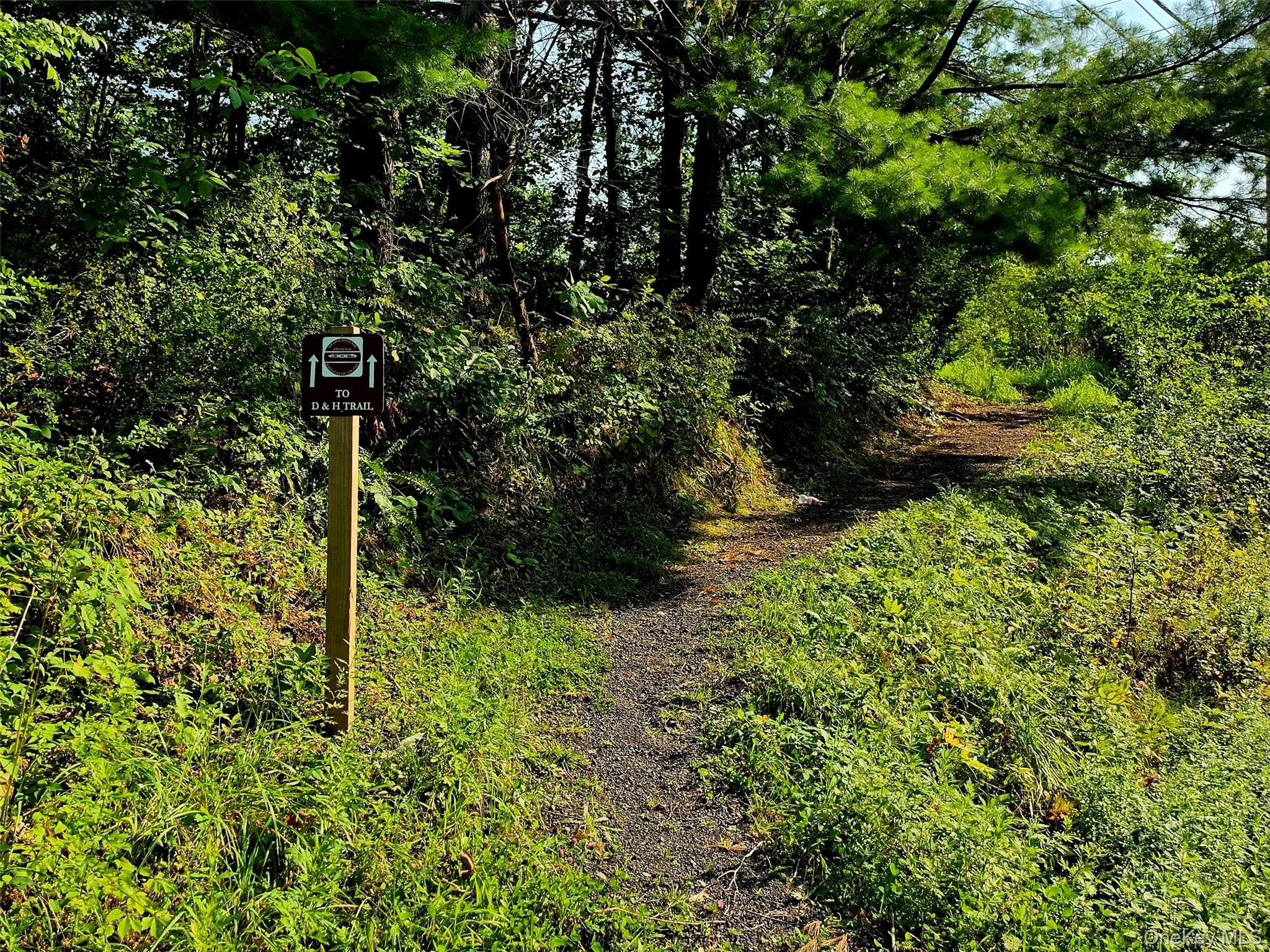 D&H Trail along the same side of the street D&H Trail along the same side of the street