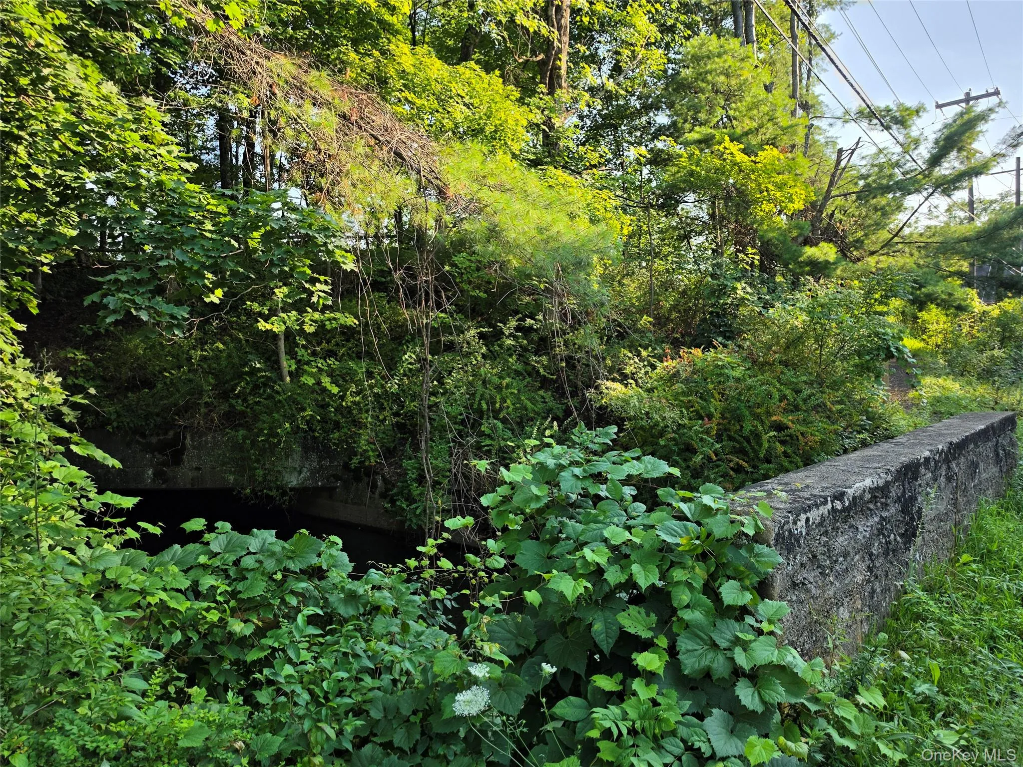D&H Canal D&H Canal