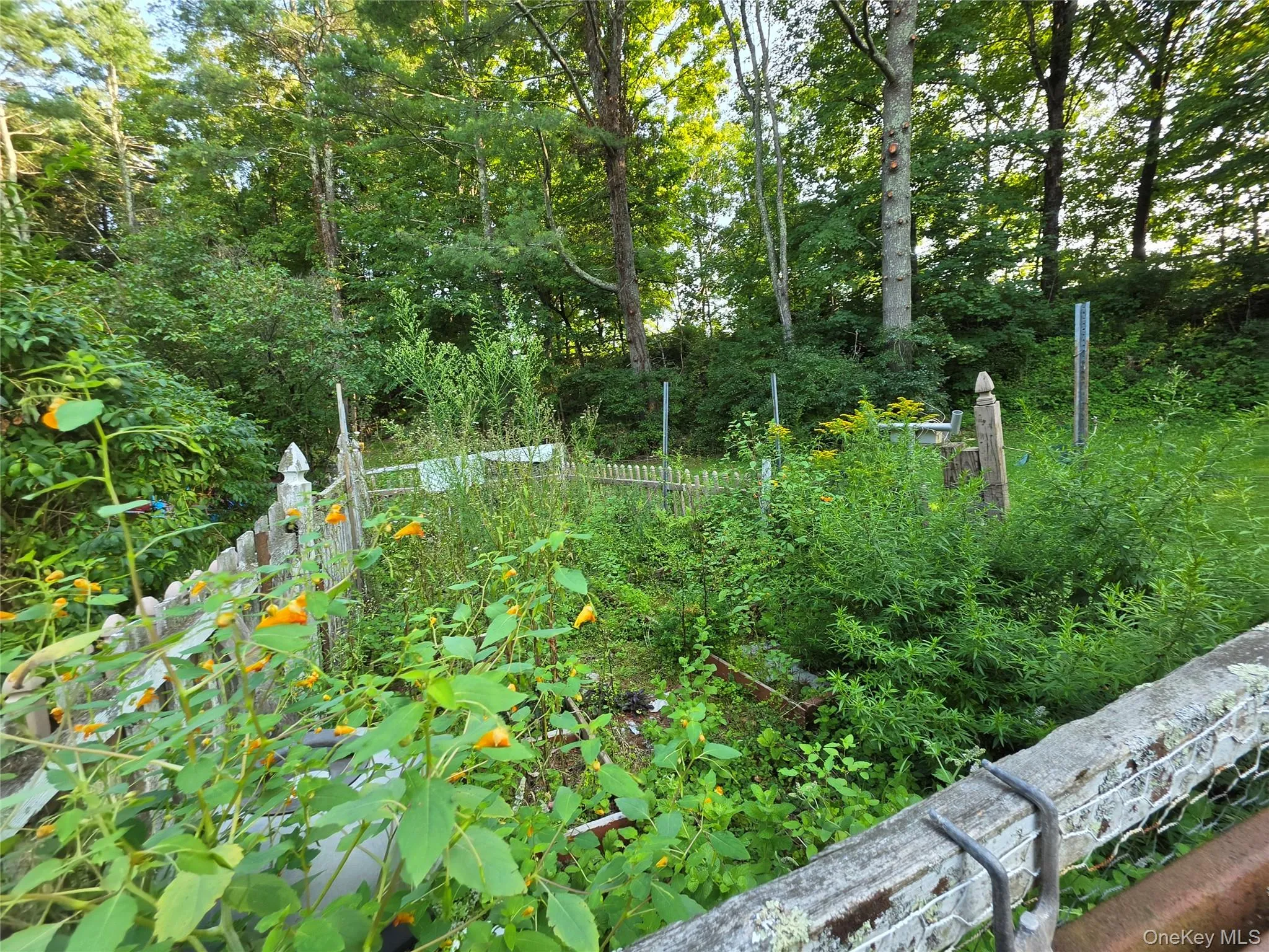 116 Summitville Road, Mamakating, NY, 3 Bedrooms Bedrooms, 5 Rooms Rooms,1 BathroomBathrooms,Residential,For Rent,Summitville,0,1039862 116 Summitville Road, Mamakating, NY, 3 Bedrooms Bedrooms, 5 Rooms Rooms,1 BathroomBathrooms,Residential,For Rent,Summitville,0,1039862