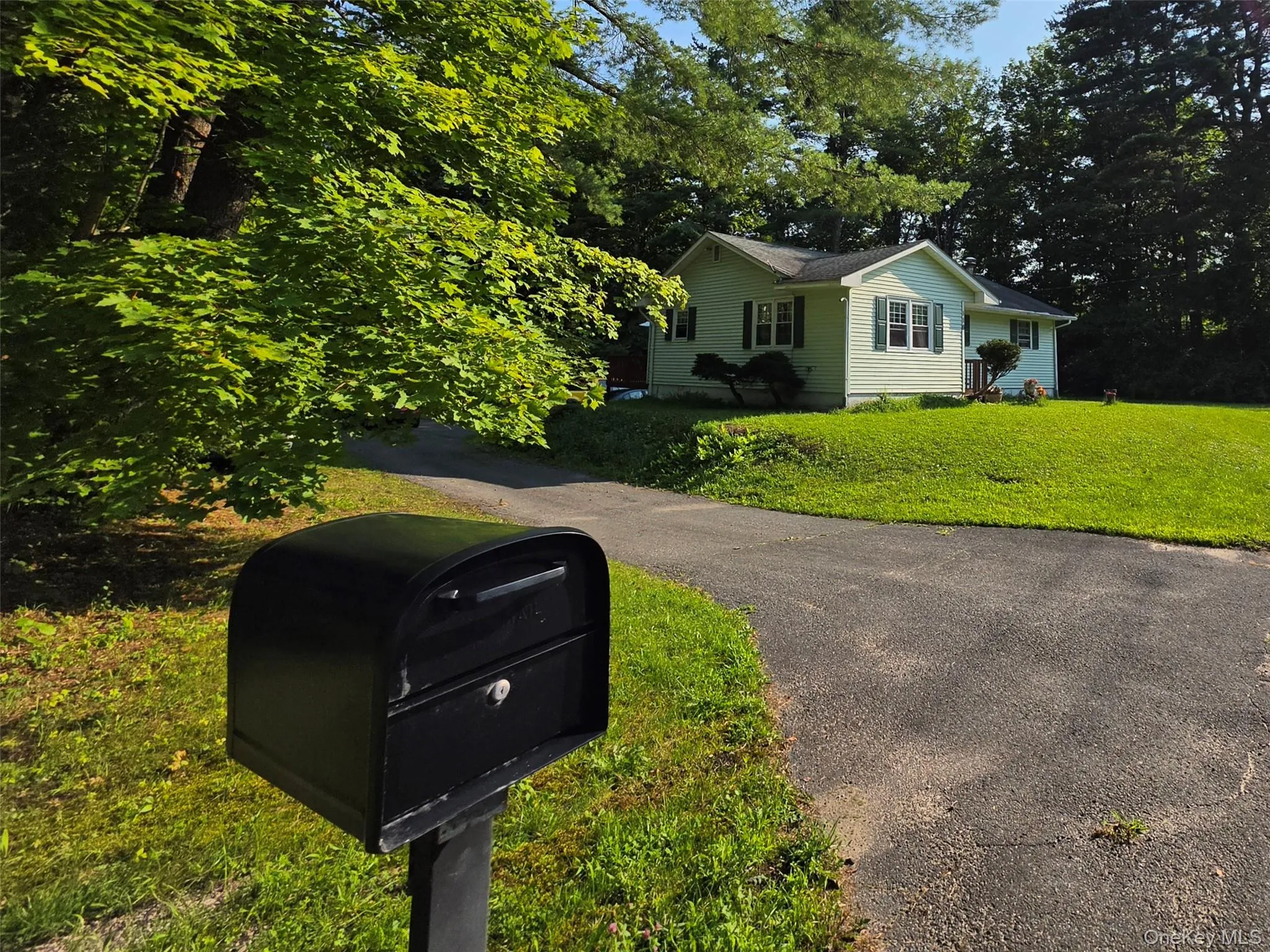 116 Summitville Road, Mamakating, NY, 3 Bedrooms Bedrooms, 5 Rooms Rooms,1 BathroomBathrooms,Residential,For Rent,Summitville,0,1039862 116 Summitville Road, Mamakating, NY, 3 Bedrooms Bedrooms, 5 Rooms Rooms,1 BathroomBathrooms,Residential,For Rent,Summitville,0,1039862