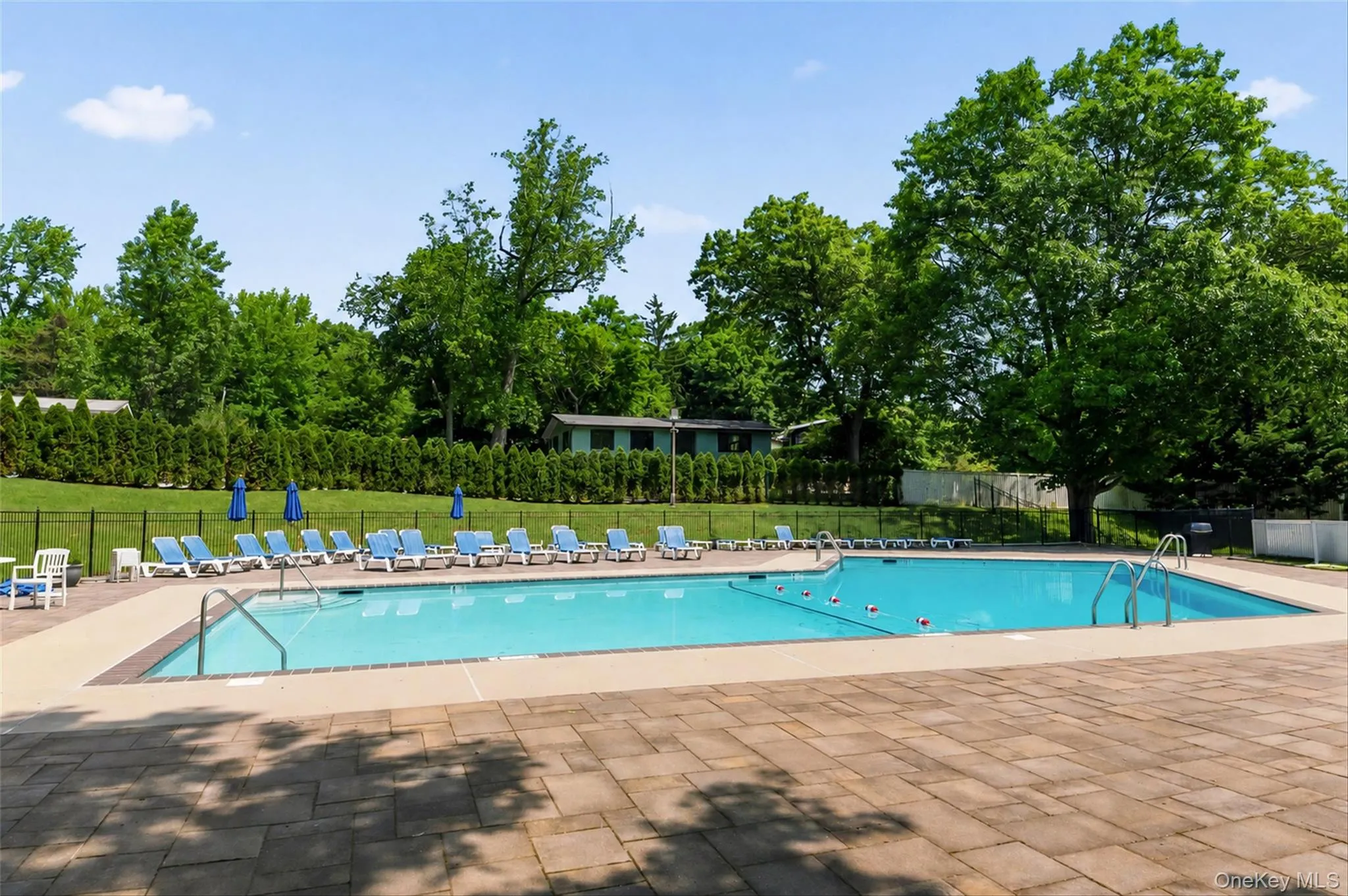 321 Tallwood Drive, Greenburgh, NY, 3 Bedrooms Bedrooms, 8 Rooms Rooms,2 BathroomsBathrooms,Residential,For Rent,Tallwood,0,1039864 321 Tallwood Drive, Greenburgh, NY, 3 Bedrooms Bedrooms, 8 Rooms Rooms,2 BathroomsBathrooms,Residential,For Rent,Tallwood,0,1039864