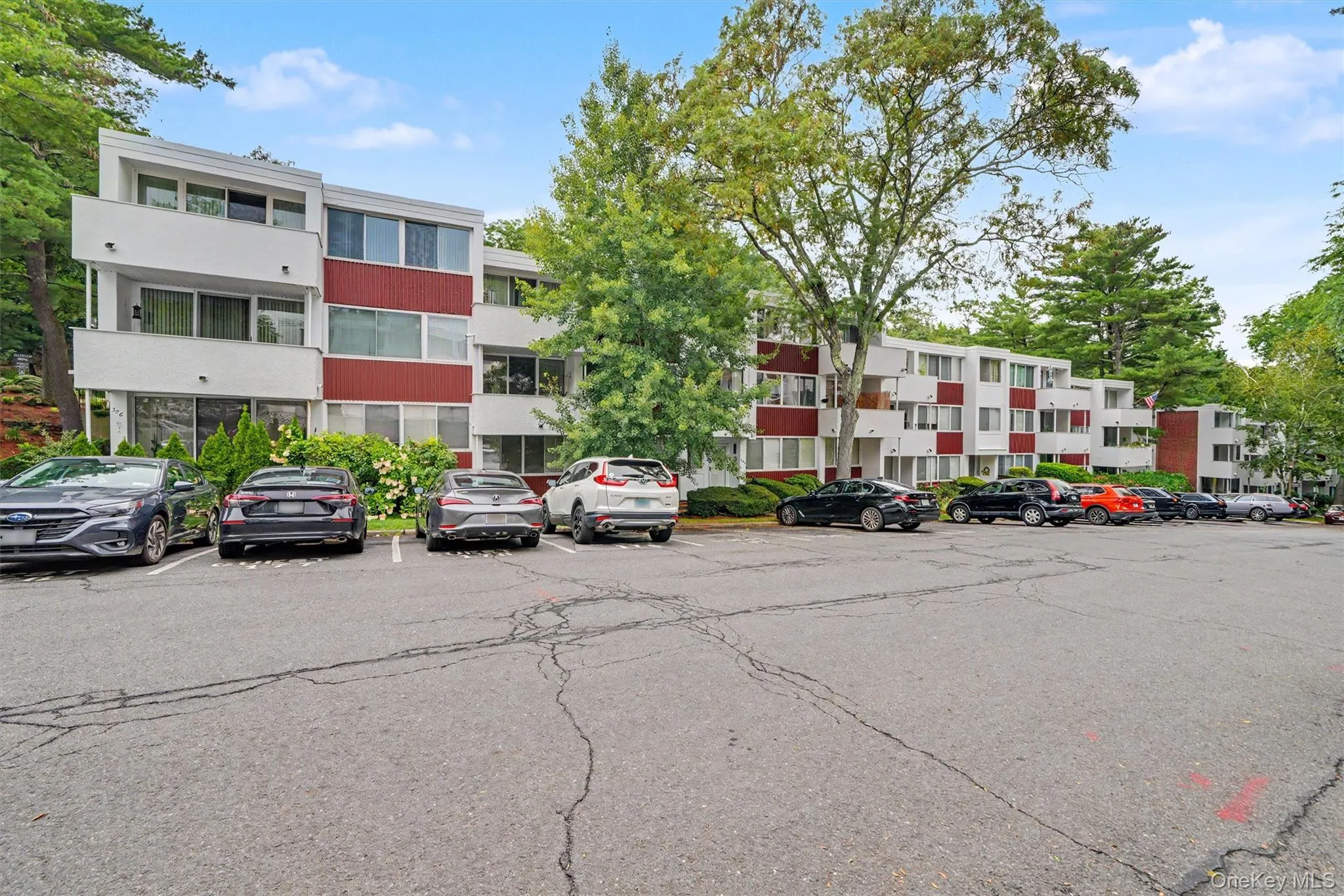 321 Tallwood Drive, Greenburgh, NY, 3 Bedrooms Bedrooms, 8 Rooms Rooms,2 BathroomsBathrooms,Residential,For Rent,Tallwood,0,1039864 321 Tallwood Drive, Greenburgh, NY, 3 Bedrooms Bedrooms, 8 Rooms Rooms,2 BathroomsBathrooms,Residential,For Rent,Tallwood,0,1039864