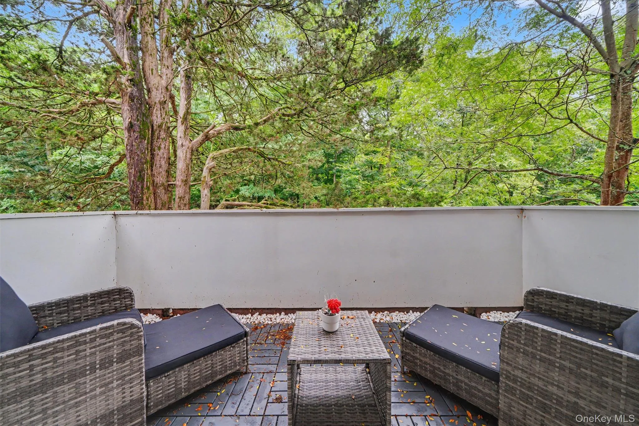 321 Tallwood Drive, Greenburgh, NY, 3 Bedrooms Bedrooms, 8 Rooms Rooms,2 BathroomsBathrooms,Residential,For Rent,Tallwood,0,1039864 321 Tallwood Drive, Greenburgh, NY, 3 Bedrooms Bedrooms, 8 Rooms Rooms,2 BathroomsBathrooms,Residential,For Rent,Tallwood,0,1039864