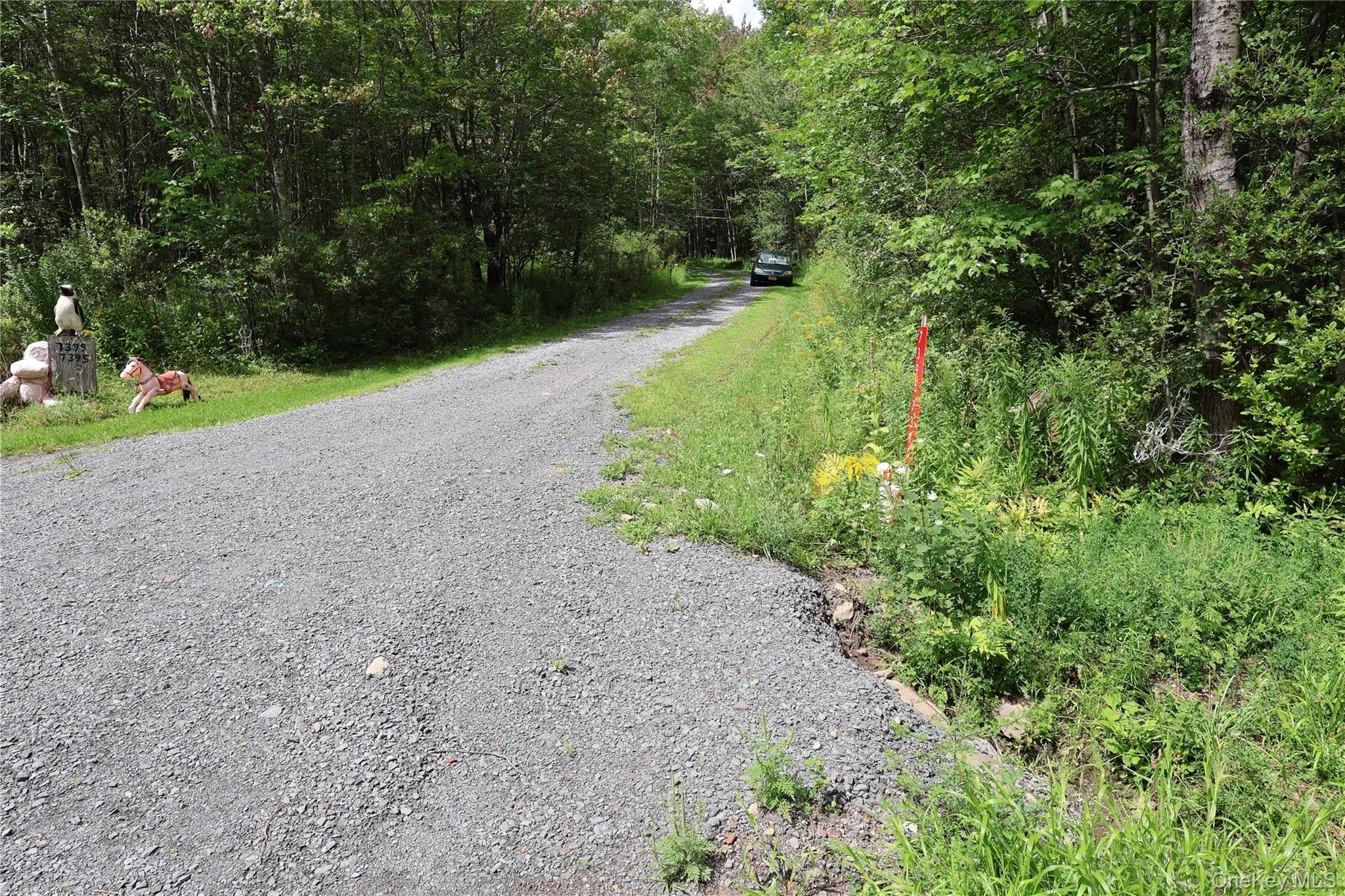 7401 Millbrook Road, Hardenburgh, NY, ,Land,For Rent,Millbrook,0,1039867 7401 Millbrook Road, Hardenburgh, NY, ,Land,For Rent,Millbrook,0,1039867