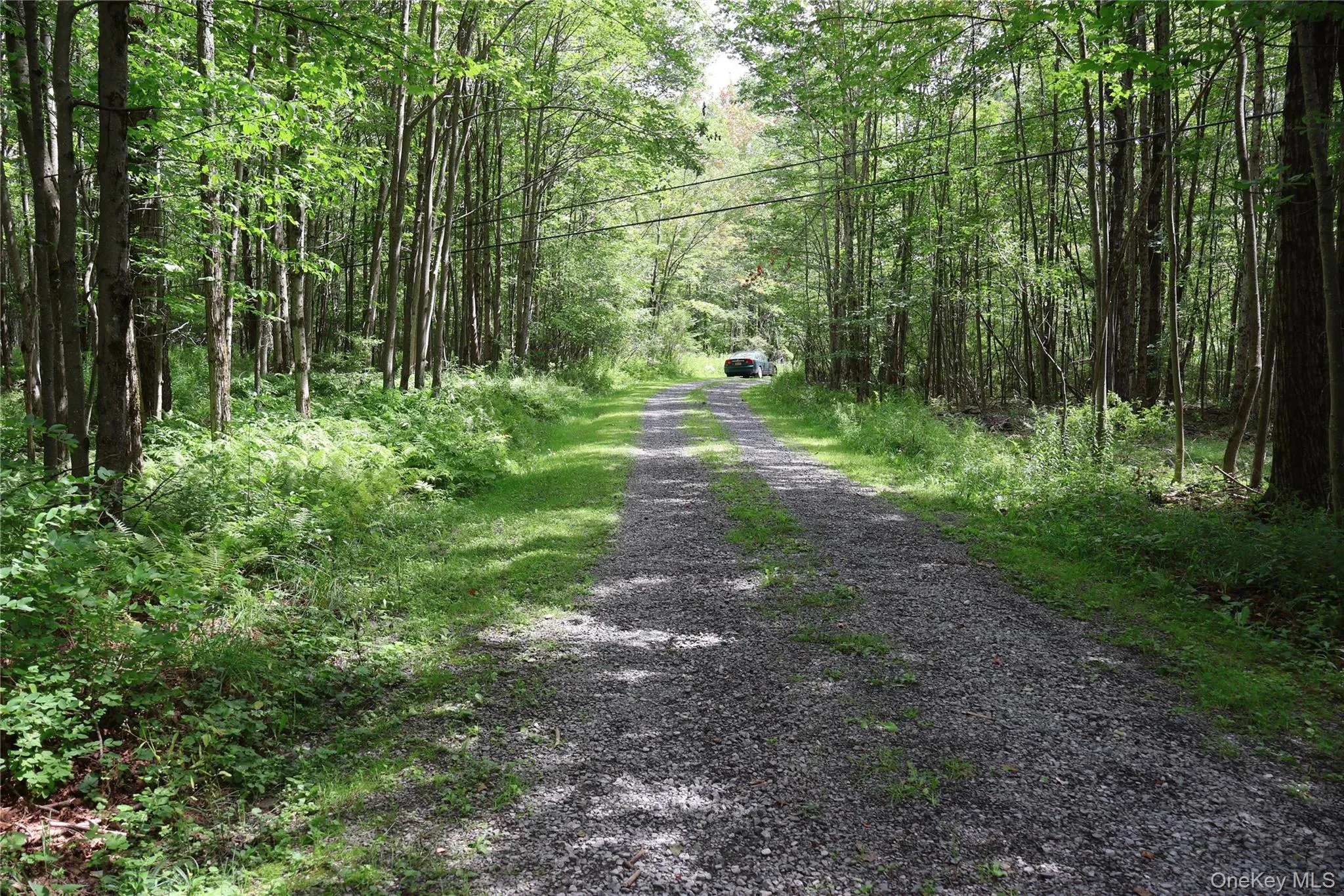 7401 Millbrook Road, Hardenburgh, NY, ,Land,For Rent,Millbrook,0,1039867 7401 Millbrook Road, Hardenburgh, NY, ,Land,For Rent,Millbrook,0,1039867