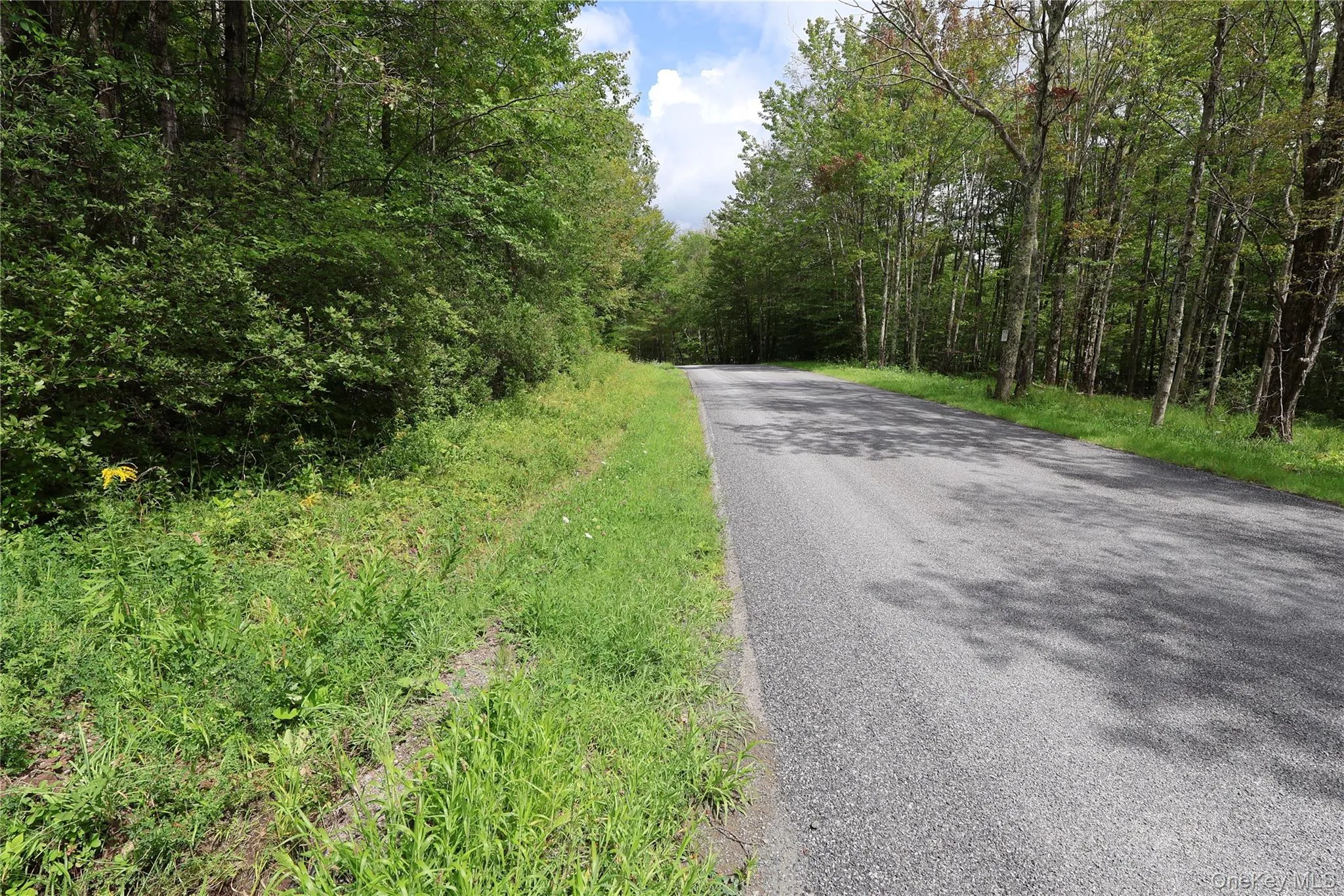 7401 Millbrook Road, Hardenburgh, NY, ,Land,For Rent,Millbrook,0,1039867 7401 Millbrook Road, Hardenburgh, NY, ,Land,For Rent,Millbrook,0,1039867
