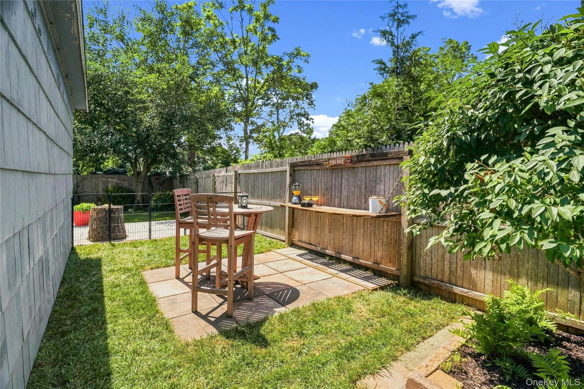 Backyard Backyard