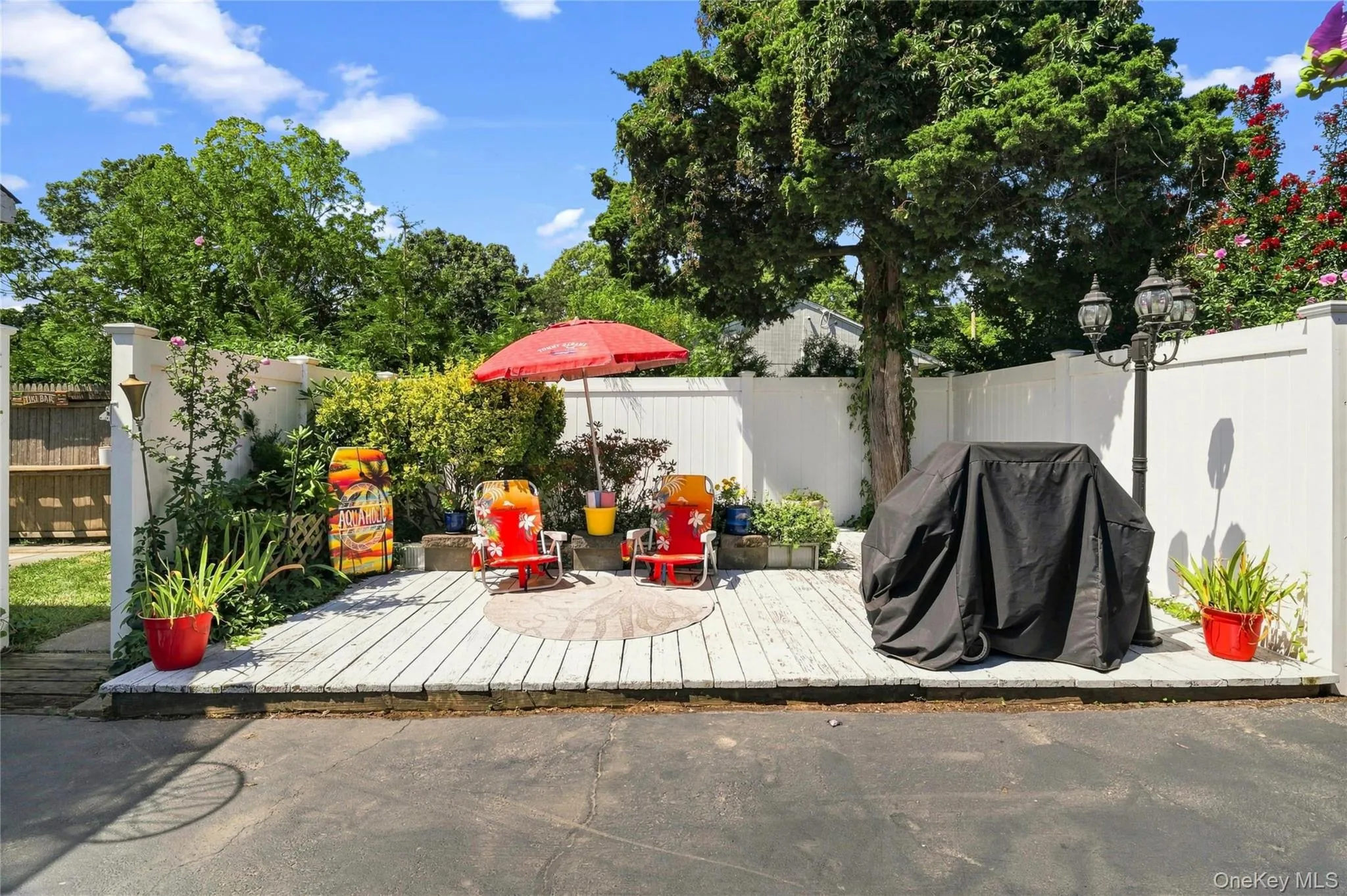 Backyard Backyard
