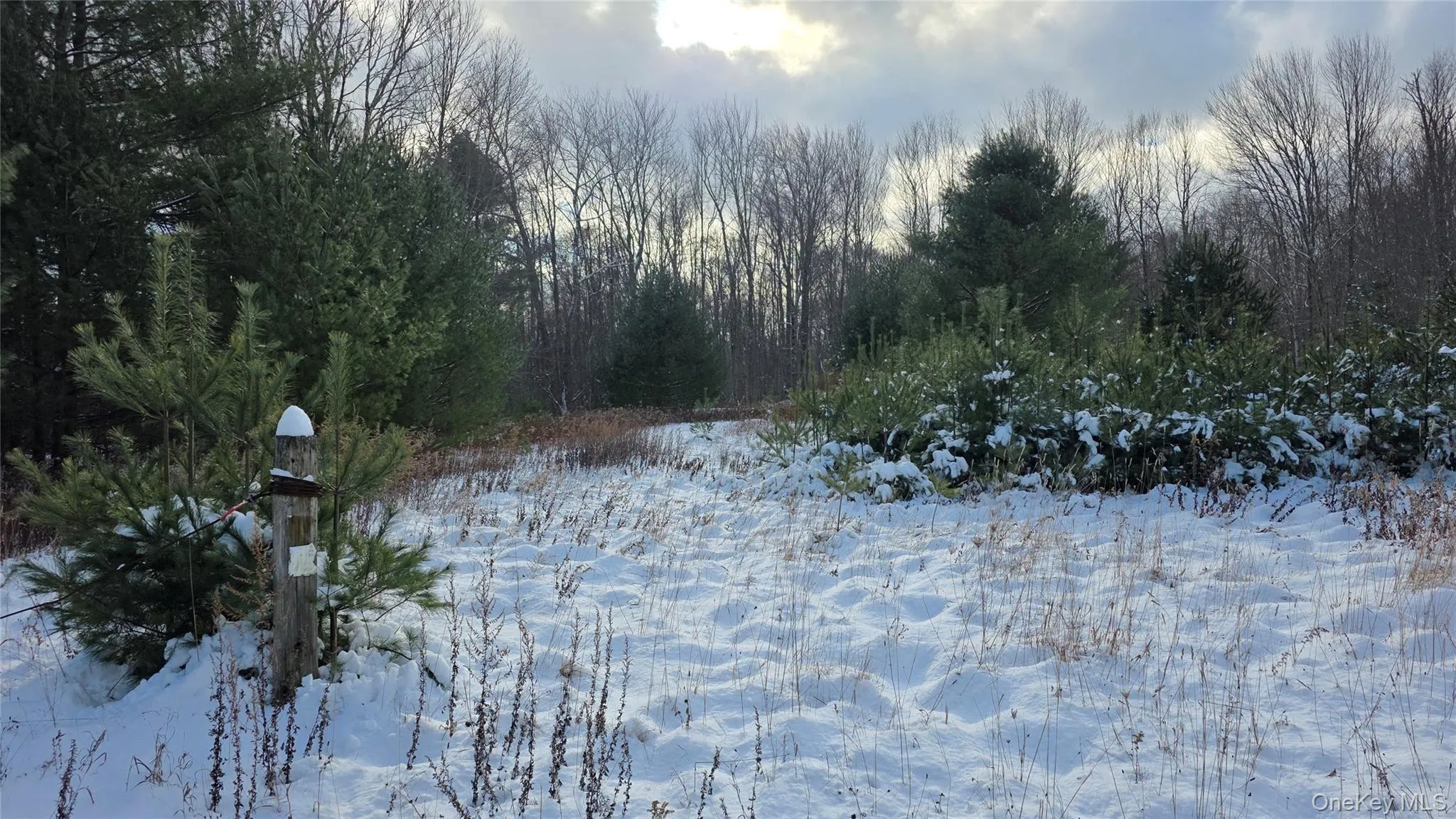 1487 Ulster Heights Road, Wawarsing, NY, ,Land,For Rent,Ulster Heights,0,1039882 1487 Ulster Heights Road, Wawarsing, NY, ,Land,For Rent,Ulster Heights,0,1039882