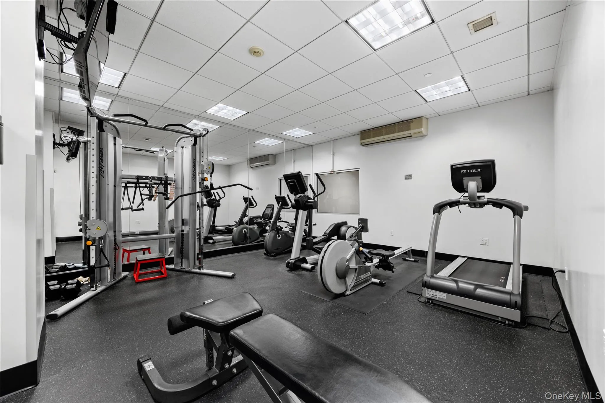 Fitness center. Fitness center.