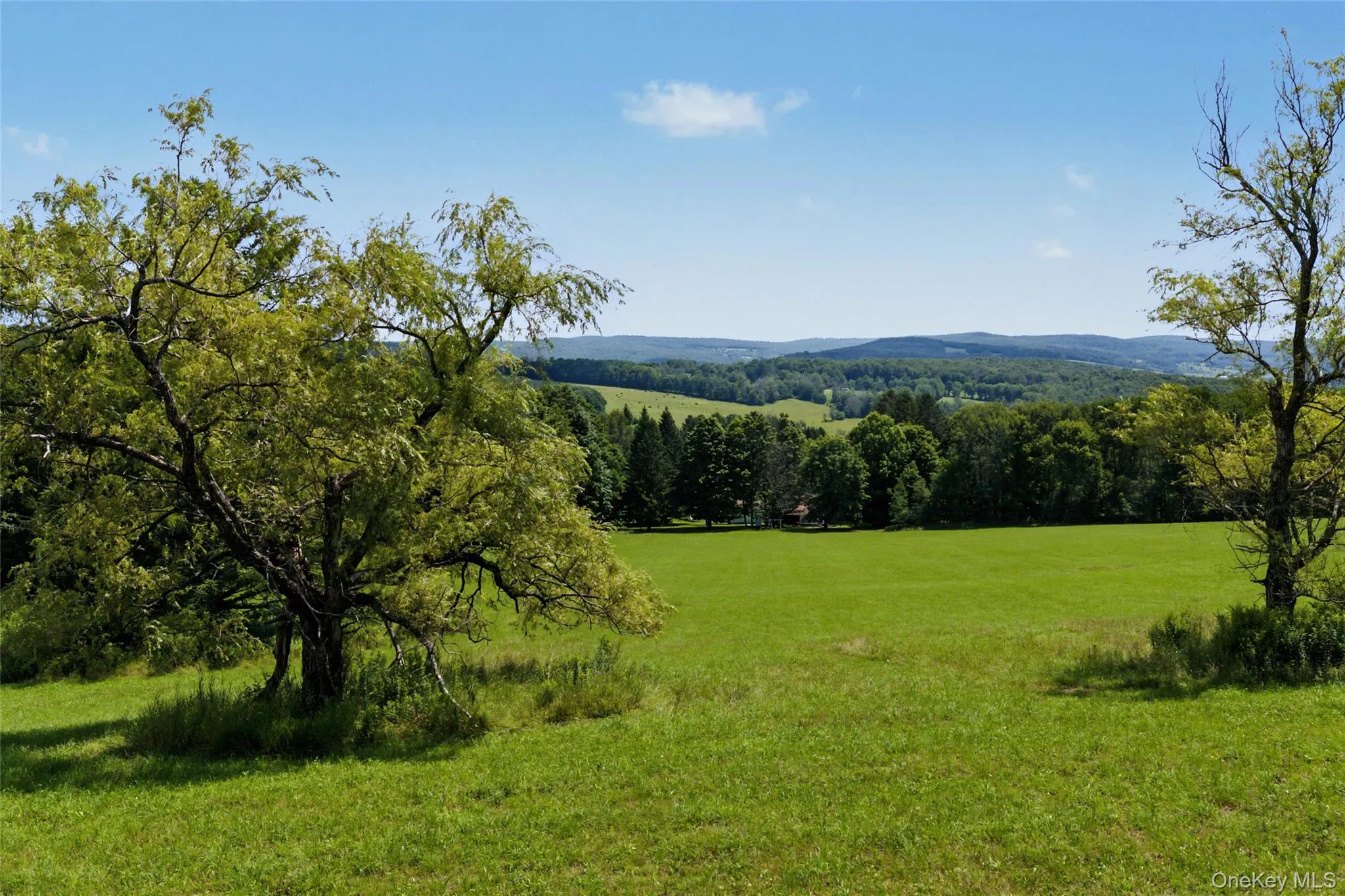 2695 Pomeroy Road, Franklin, NY, 4 Bedrooms Bedrooms, 11 Rooms Rooms,2 BathroomsBathrooms,Residential,For Rent,Pomeroy Road,0,1039921 2695 Pomeroy Road, Franklin, NY, 4 Bedrooms Bedrooms, 11 Rooms Rooms,2 BathroomsBathrooms,Residential,For Rent,Pomeroy Road,0,1039921