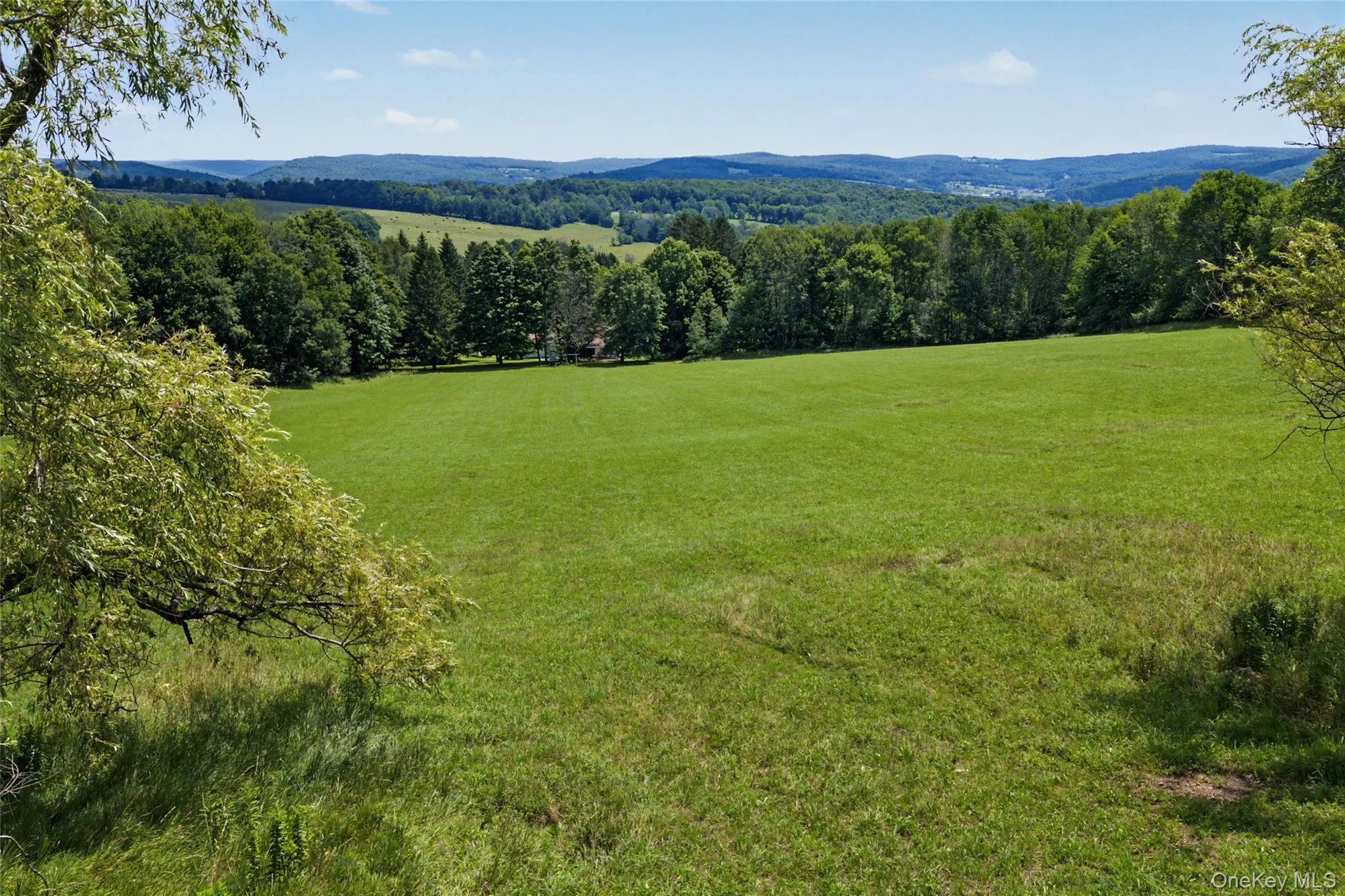 2695 Pomeroy Road, Franklin, NY, 4 Bedrooms Bedrooms, 11 Rooms Rooms,2 BathroomsBathrooms,Residential,For Rent,Pomeroy Road,0,1039921 2695 Pomeroy Road, Franklin, NY, 4 Bedrooms Bedrooms, 11 Rooms Rooms,2 BathroomsBathrooms,Residential,For Rent,Pomeroy Road,0,1039921