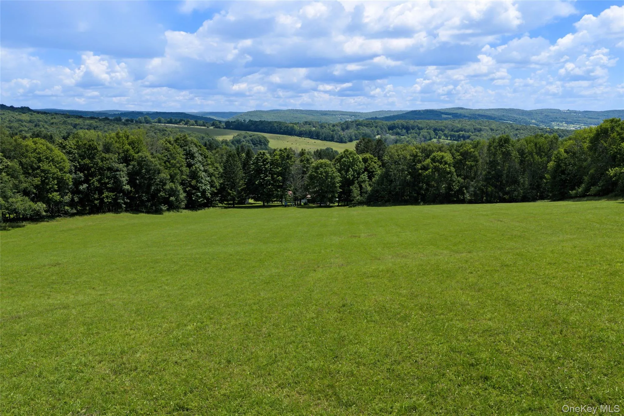2695 Pomeroy Road, Franklin, NY, 4 Bedrooms Bedrooms, 11 Rooms Rooms,2 BathroomsBathrooms,Residential,For Rent,Pomeroy Road,0,1039921 2695 Pomeroy Road, Franklin, NY, 4 Bedrooms Bedrooms, 11 Rooms Rooms,2 BathroomsBathrooms,Residential,For Rent,Pomeroy Road,0,1039921
