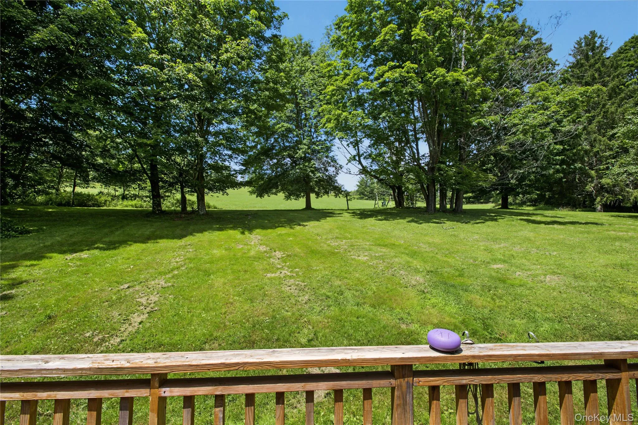 2695 Pomeroy Road, Franklin, NY, 4 Bedrooms Bedrooms, 11 Rooms Rooms,2 BathroomsBathrooms,Residential,For Rent,Pomeroy Road,0,1039921 2695 Pomeroy Road, Franklin, NY, 4 Bedrooms Bedrooms, 11 Rooms Rooms,2 BathroomsBathrooms,Residential,For Rent,Pomeroy Road,0,1039921