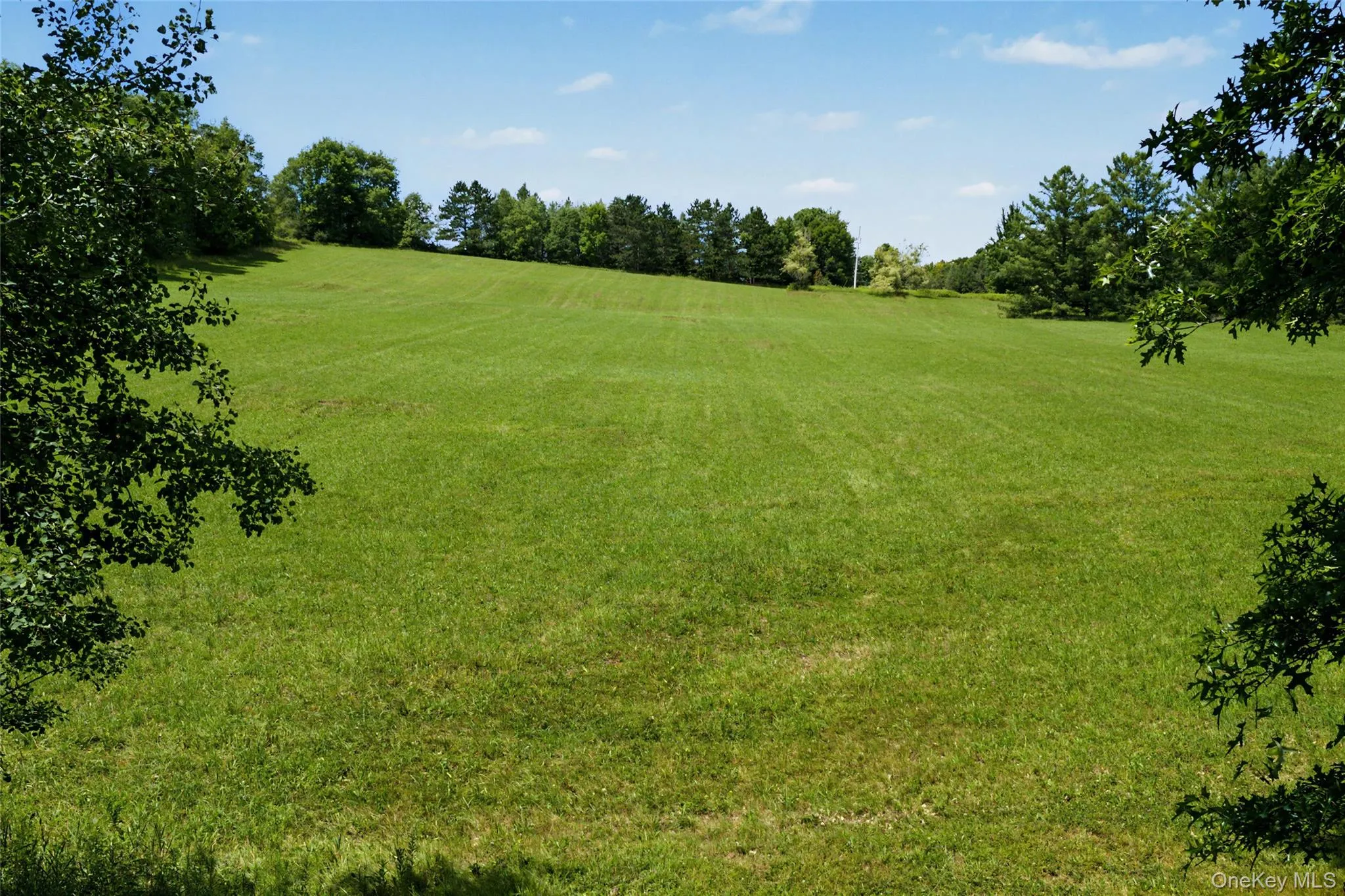 2695 Pomeroy Road, Franklin, NY, 4 Bedrooms Bedrooms, 11 Rooms Rooms,2 BathroomsBathrooms,Residential,For Rent,Pomeroy Road,0,1039921 2695 Pomeroy Road, Franklin, NY, 4 Bedrooms Bedrooms, 11 Rooms Rooms,2 BathroomsBathrooms,Residential,For Rent,Pomeroy Road,0,1039921