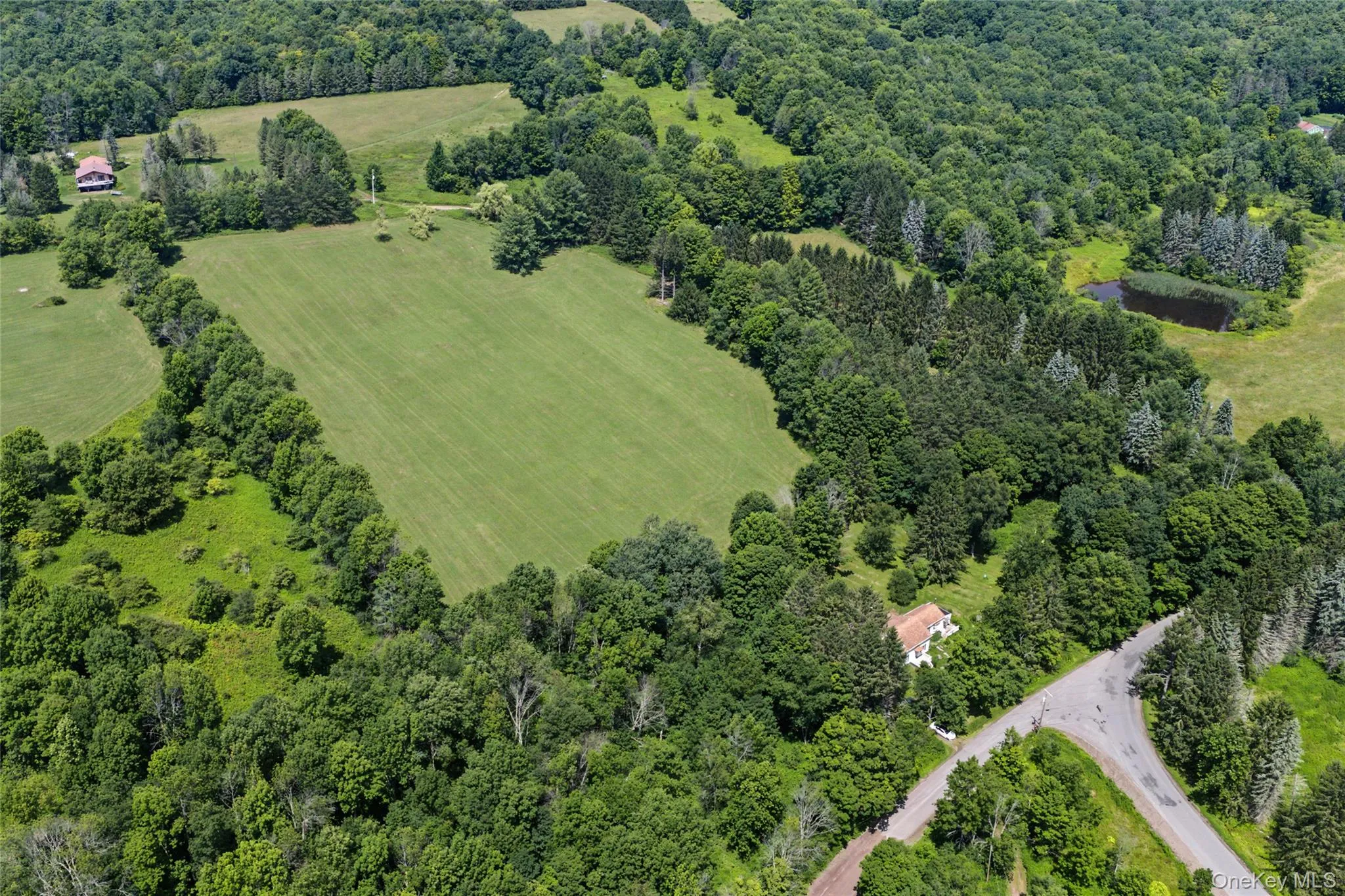 2695 Pomeroy Road, Franklin, NY, 4 Bedrooms Bedrooms, 11 Rooms Rooms,2 BathroomsBathrooms,Residential,For Rent,Pomeroy Road,0,1039921 2695 Pomeroy Road, Franklin, NY, 4 Bedrooms Bedrooms, 11 Rooms Rooms,2 BathroomsBathrooms,Residential,For Rent,Pomeroy Road,0,1039921
