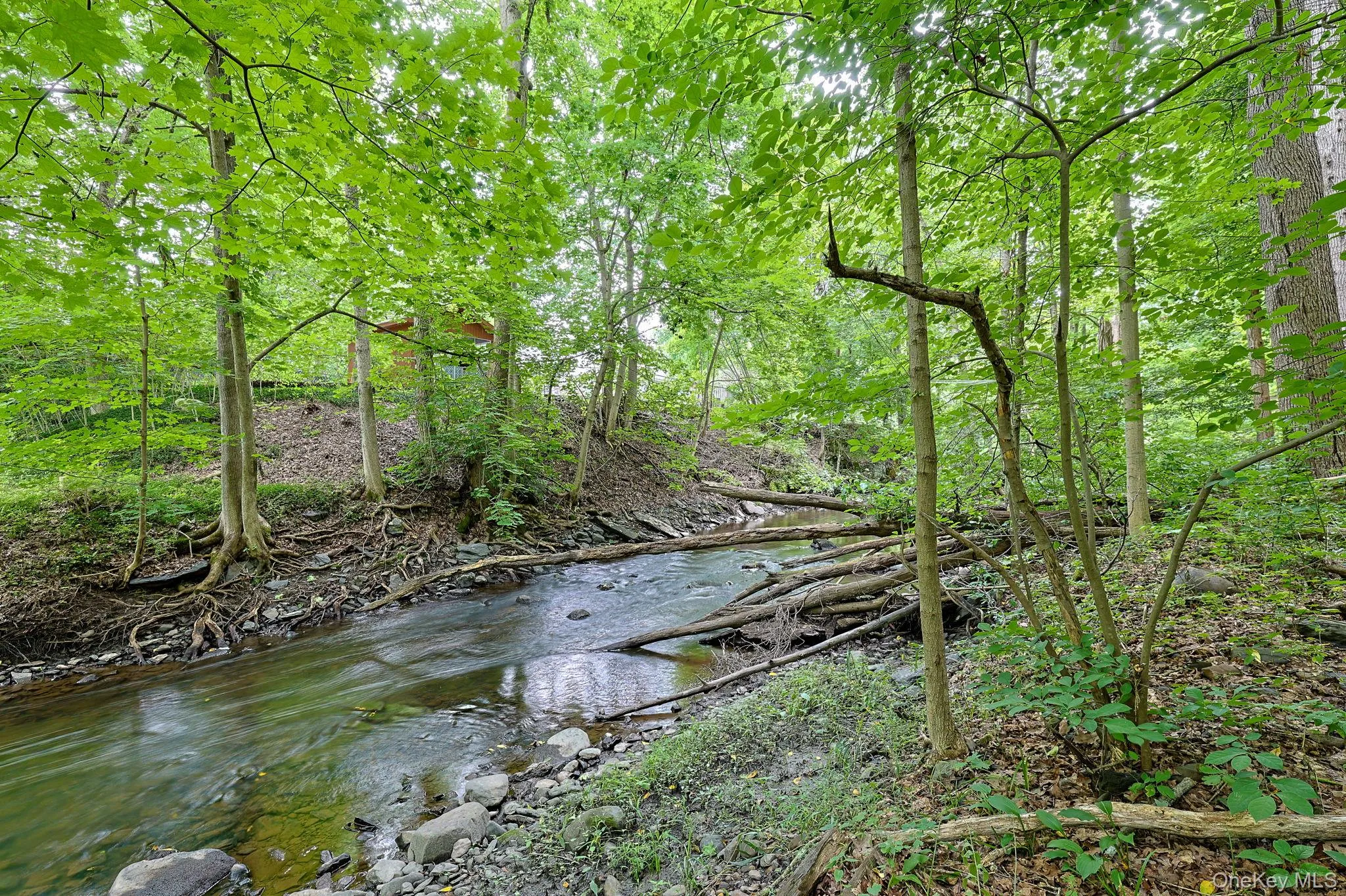 63 Hubshop Road, Blooming Grove, NY, 4 Bedrooms Bedrooms, 11 Rooms Rooms,2 BathroomsBathrooms,Residential,For Rent,Hubshop,0,1039933 63 Hubshop Road, Blooming Grove, NY, 4 Bedrooms Bedrooms, 11 Rooms Rooms,2 BathroomsBathrooms,Residential,For Rent,Hubshop,0,1039933