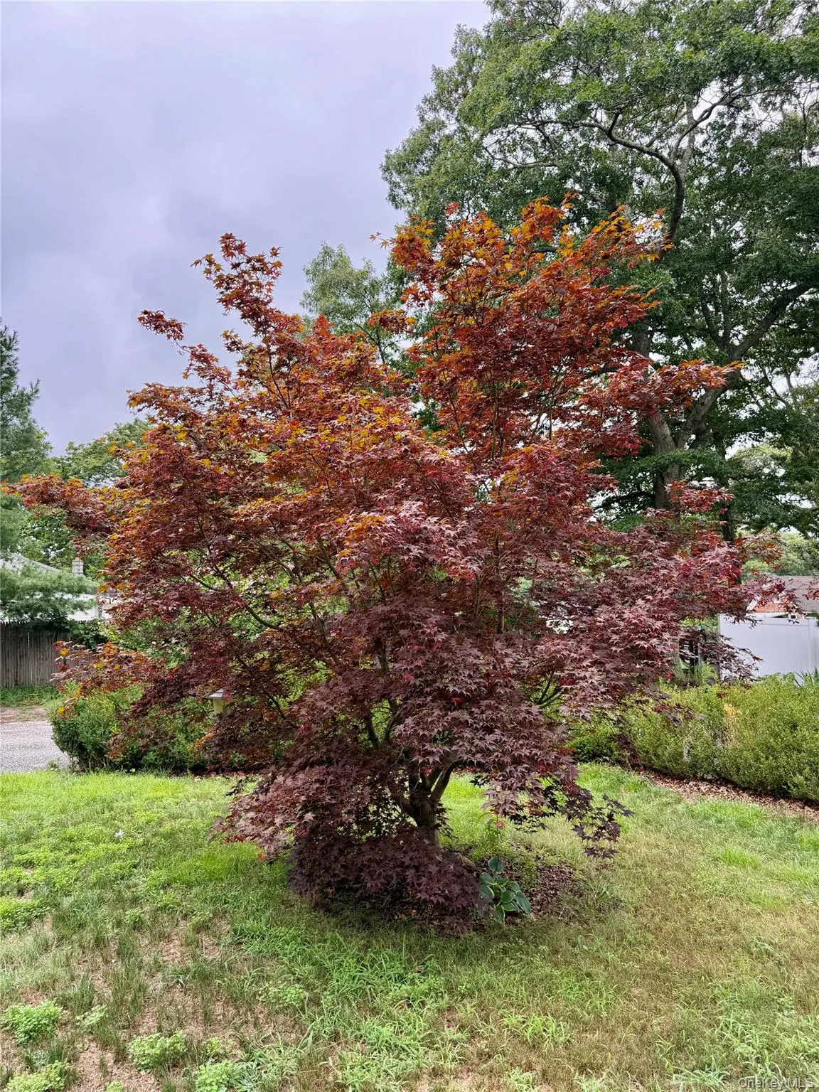 674 Flanders Road, Riverhead, NY, 5 Bedrooms Bedrooms, 10 Rooms Rooms,3 BathroomsBathrooms,Residential,For Rent,Flanders,0,1039943 674 Flanders Road, Riverhead, NY, 5 Bedrooms Bedrooms, 10 Rooms Rooms,3 BathroomsBathrooms,Residential,For Rent,Flanders,0,1039943