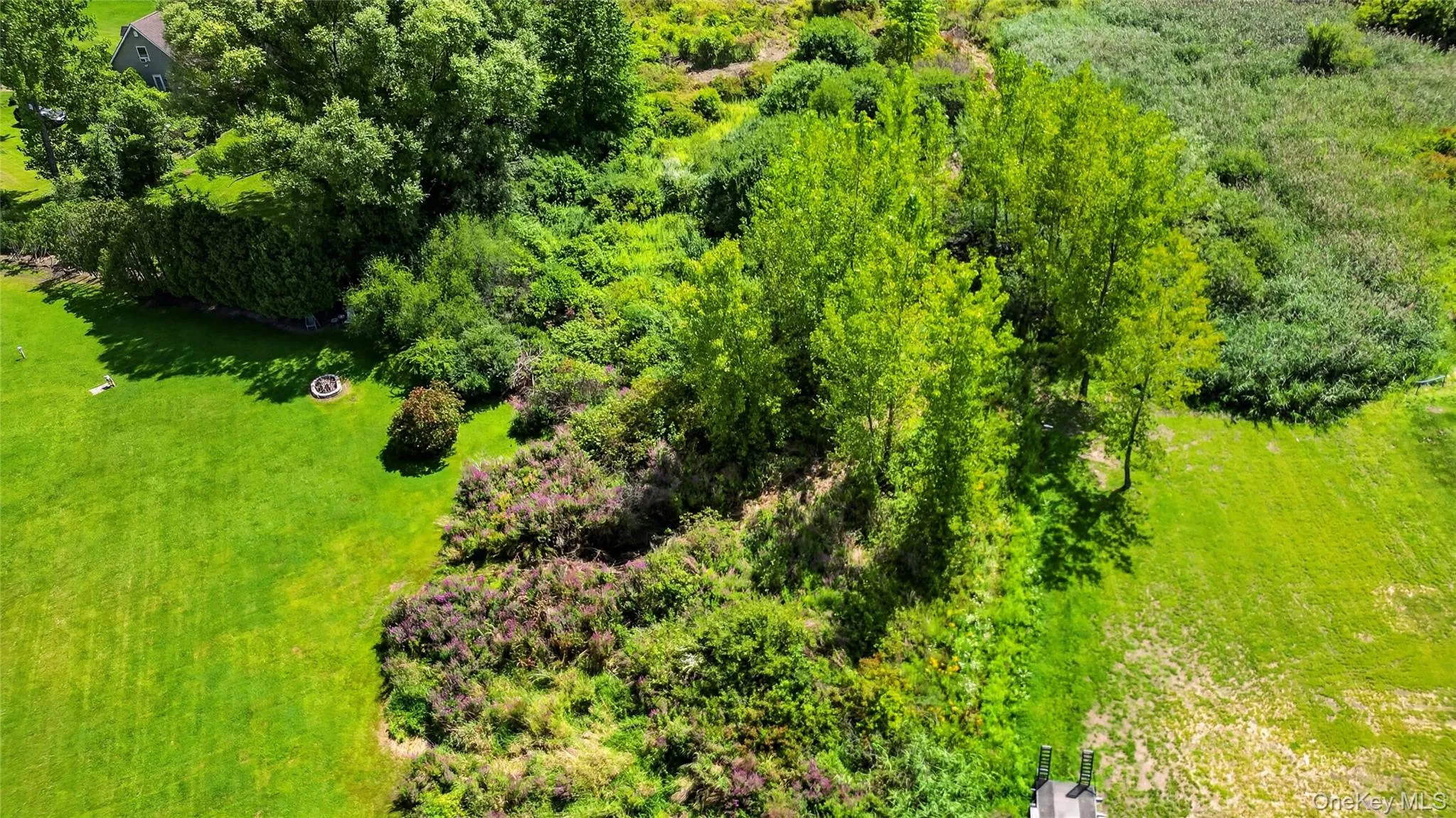 3 Bills Lane, Marlboro, NY, 4 Bedrooms Bedrooms, 7 Rooms Rooms,2 BathroomsBathrooms,Residential,For Rent,Bills,0,1039980 3 Bills Lane, Marlboro, NY, 4 Bedrooms Bedrooms, 7 Rooms Rooms,2 BathroomsBathrooms,Residential,For Rent,Bills,0,1039980