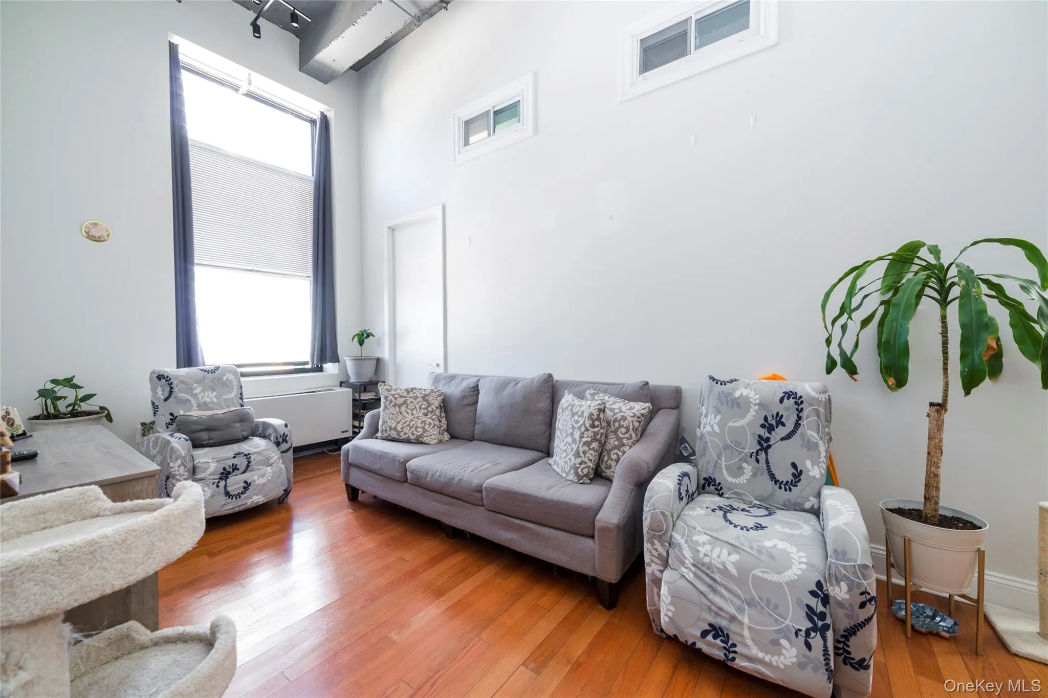 Spacious living room featuring high ceilings & hardwood floors Spacious living room featuring high ceilings & hardwood floors