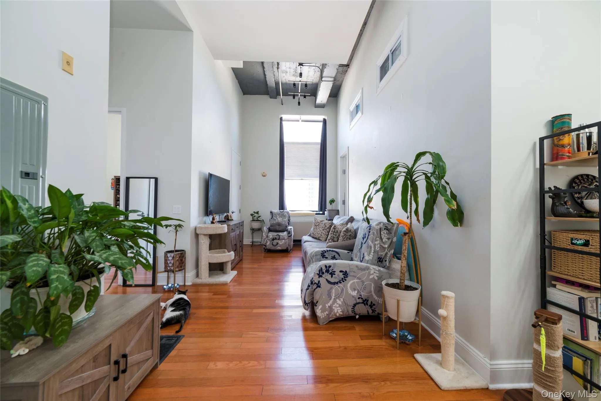 Entry way & spacious living room featuring high ceilings & hardwood floors Entry way & spacious living room featuring high ceilings & hardwood floors