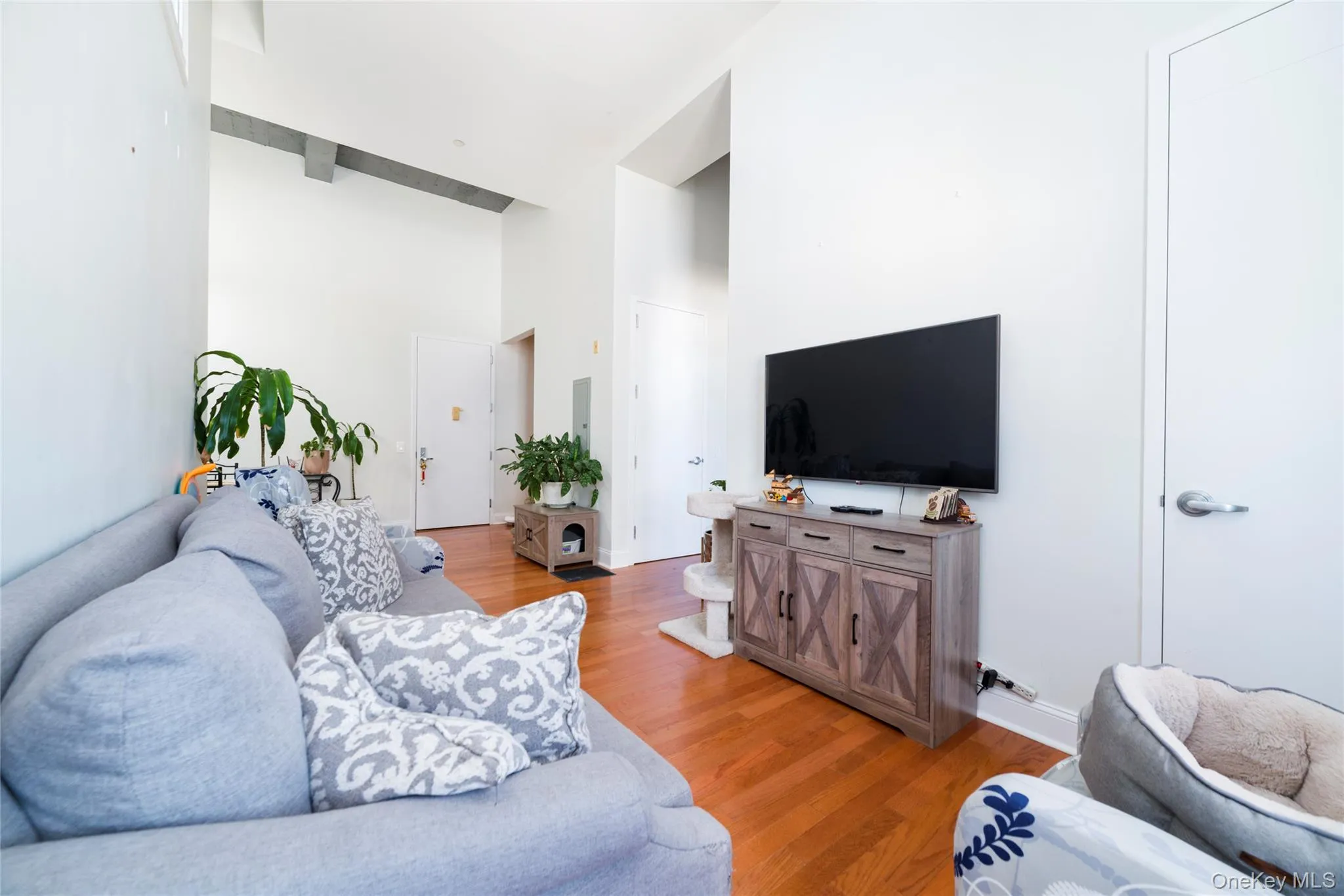 25 Leroy Place, New Rochelle, NY, 1 Bedroom Bedrooms, 3 Rooms Rooms,1 BathroomBathrooms,Residential Lease,For Rent,Leroy,0,1039988 25 Leroy Place, New Rochelle, NY, 1 Bedroom Bedrooms, 3 Rooms Rooms,1 BathroomBathrooms,Residential Lease,For Rent,Leroy,0,1039988