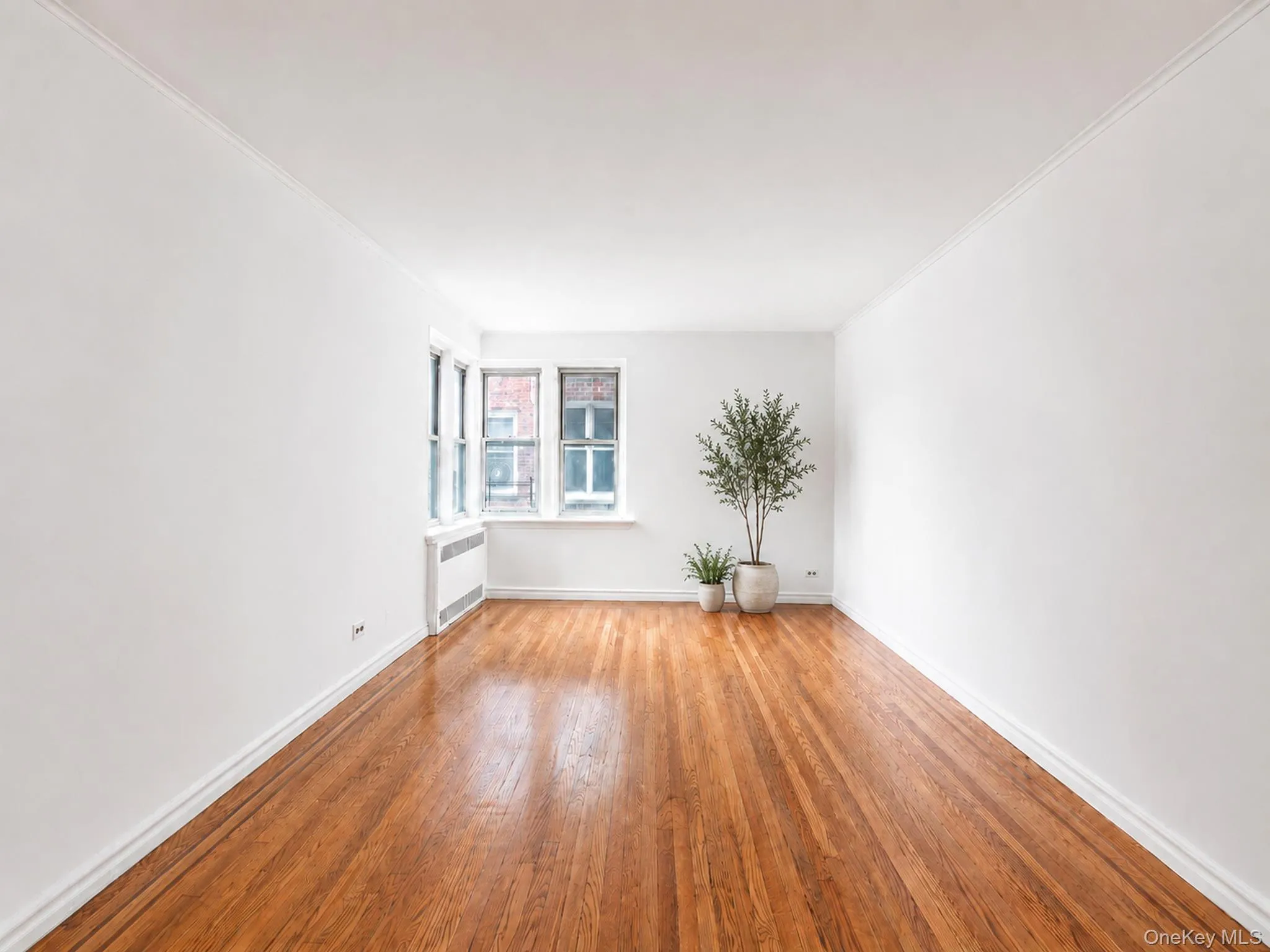 63-109 Saunders Street, New York, NY, 1 Bedroom Bedrooms, 3 Rooms Rooms,1 BathroomBathrooms,Residential,For Rent,Saunders,0,1040026 63-109 Saunders Street, New York, NY, 1 Bedroom Bedrooms, 3 Rooms Rooms,1 BathroomBathrooms,Residential,For Rent,Saunders,0,1040026