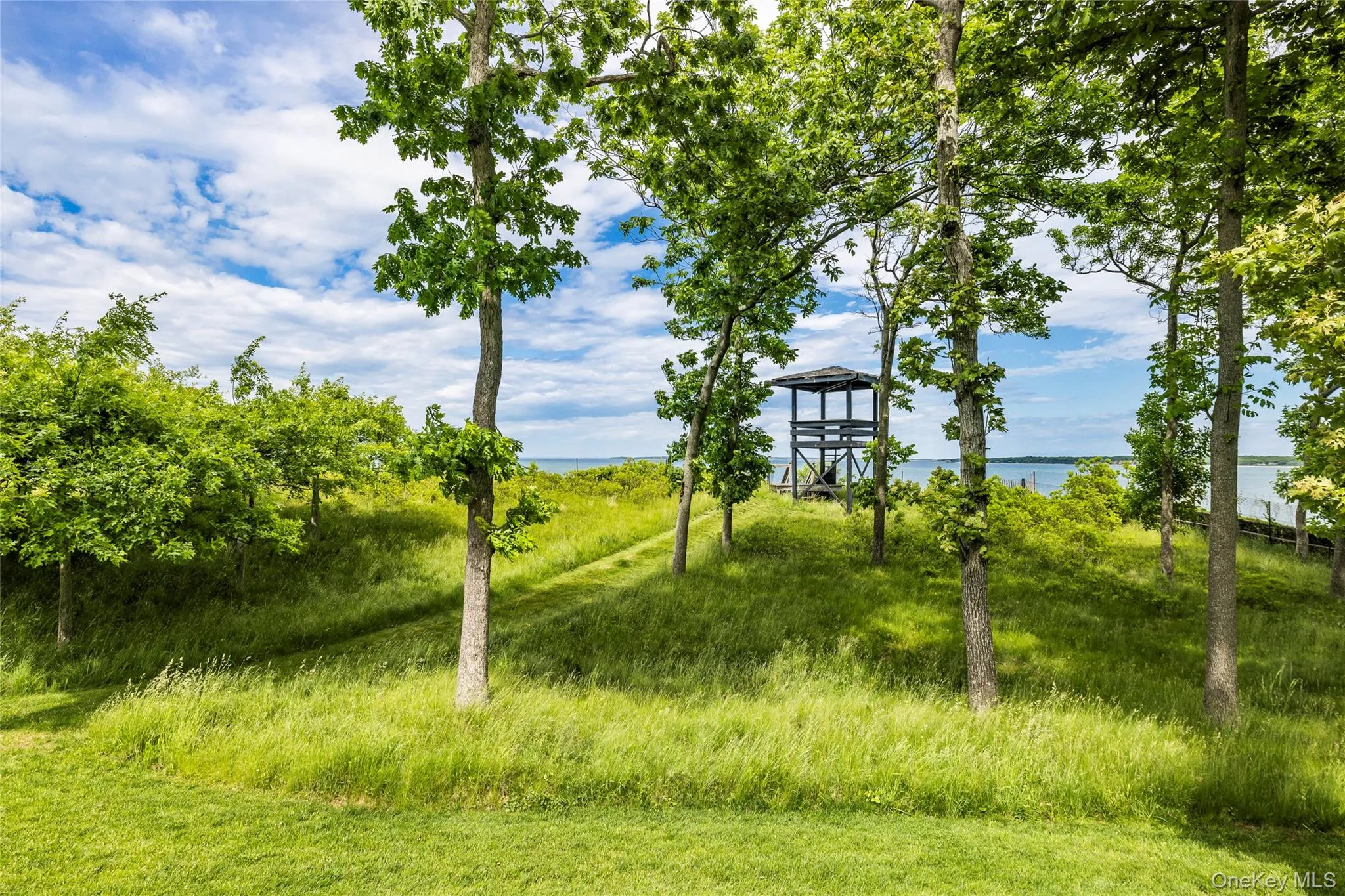 20 & 22 Hedges Banks Drive, East Hampton, NY, 4 Bedrooms Bedrooms, 16 Rooms Rooms,5 BathroomsBathrooms,Residential Lease,For Rent,Hedges Banks,0,1040099 20 & 22 Hedges Banks Drive, East Hampton, NY, 4 Bedrooms Bedrooms, 16 Rooms Rooms,5 BathroomsBathrooms,Residential Lease,For Rent,Hedges Banks,0,1040099
