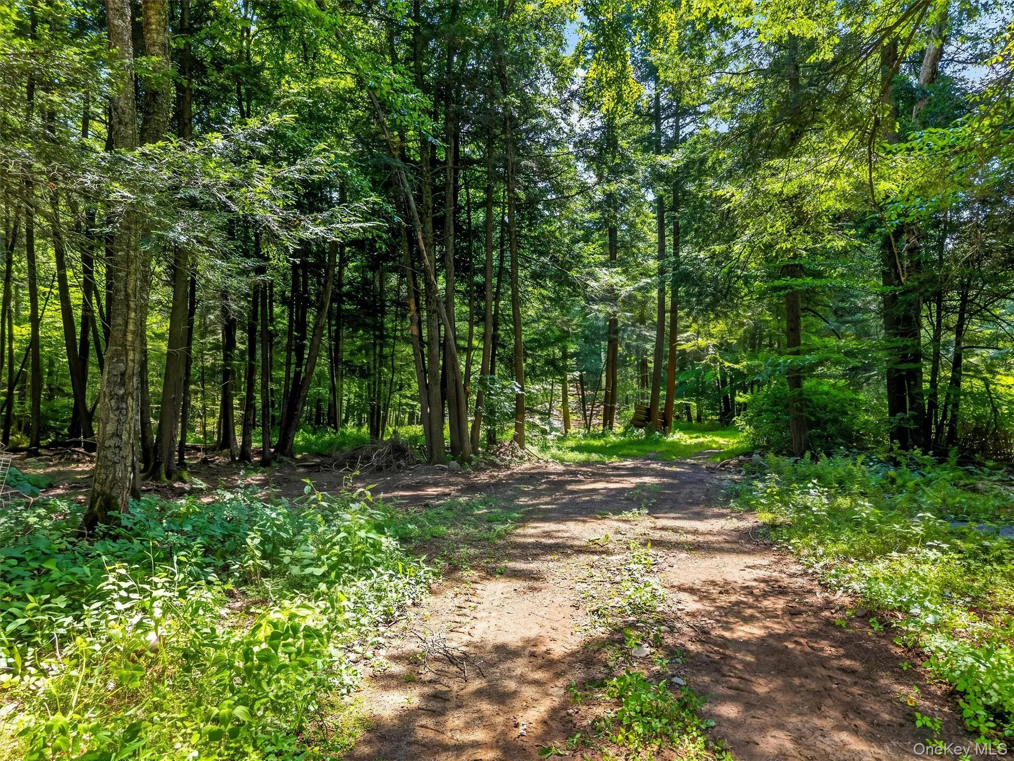 139 Callicoon Center Road, Callicoon, NY, 5 Bedrooms Bedrooms, 7 Rooms Rooms,2 BathroomsBathrooms,Residential,For Rent,Callicoon Center,0,1040100 139 Callicoon Center Road, Callicoon, NY, 5 Bedrooms Bedrooms, 7 Rooms Rooms,2 BathroomsBathrooms,Residential,For Rent,Callicoon Center,0,1040100