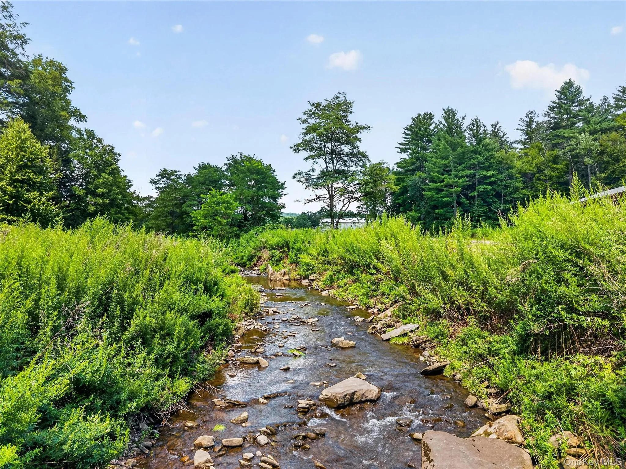 139 Callicoon Center Road, Callicoon, NY, 5 Bedrooms Bedrooms, 7 Rooms Rooms,2 BathroomsBathrooms,Residential,For Rent,Callicoon Center,0,1040100 139 Callicoon Center Road, Callicoon, NY, 5 Bedrooms Bedrooms, 7 Rooms Rooms,2 BathroomsBathrooms,Residential,For Rent,Callicoon Center,0,1040100