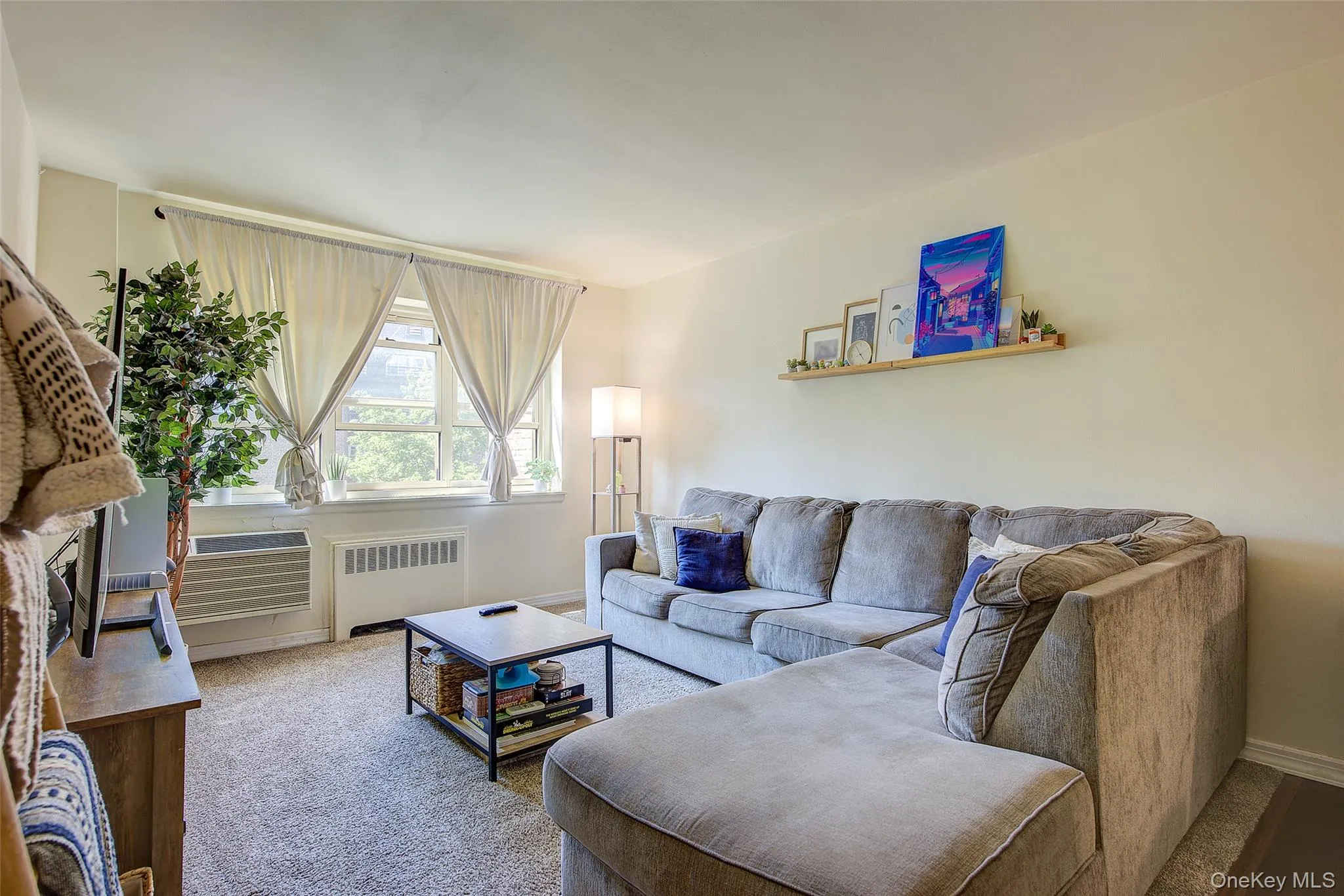 Living room featuring radiator heating unit, carpet flooring, and a wall unit AC Living room featuring radiator heating unit, carpet flooring, and a wall unit AC