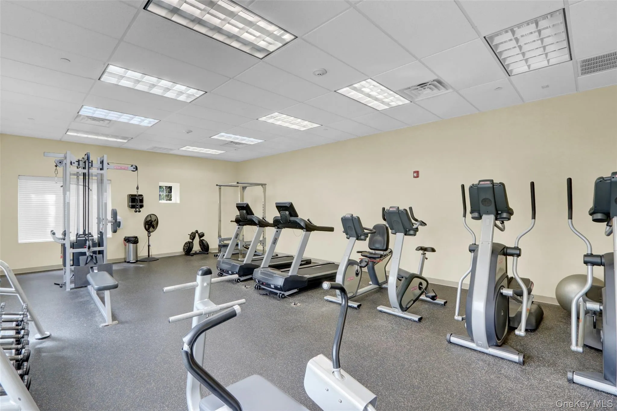 219 Medea Way, Islip, NY, 2 Bedrooms Bedrooms, 4 Rooms Rooms,2 BathroomsBathrooms,Residential,For Rent,Medea,0,1040166 219 Medea Way, Islip, NY, 2 Bedrooms Bedrooms, 4 Rooms Rooms,2 BathroomsBathrooms,Residential,For Rent,Medea,0,1040166