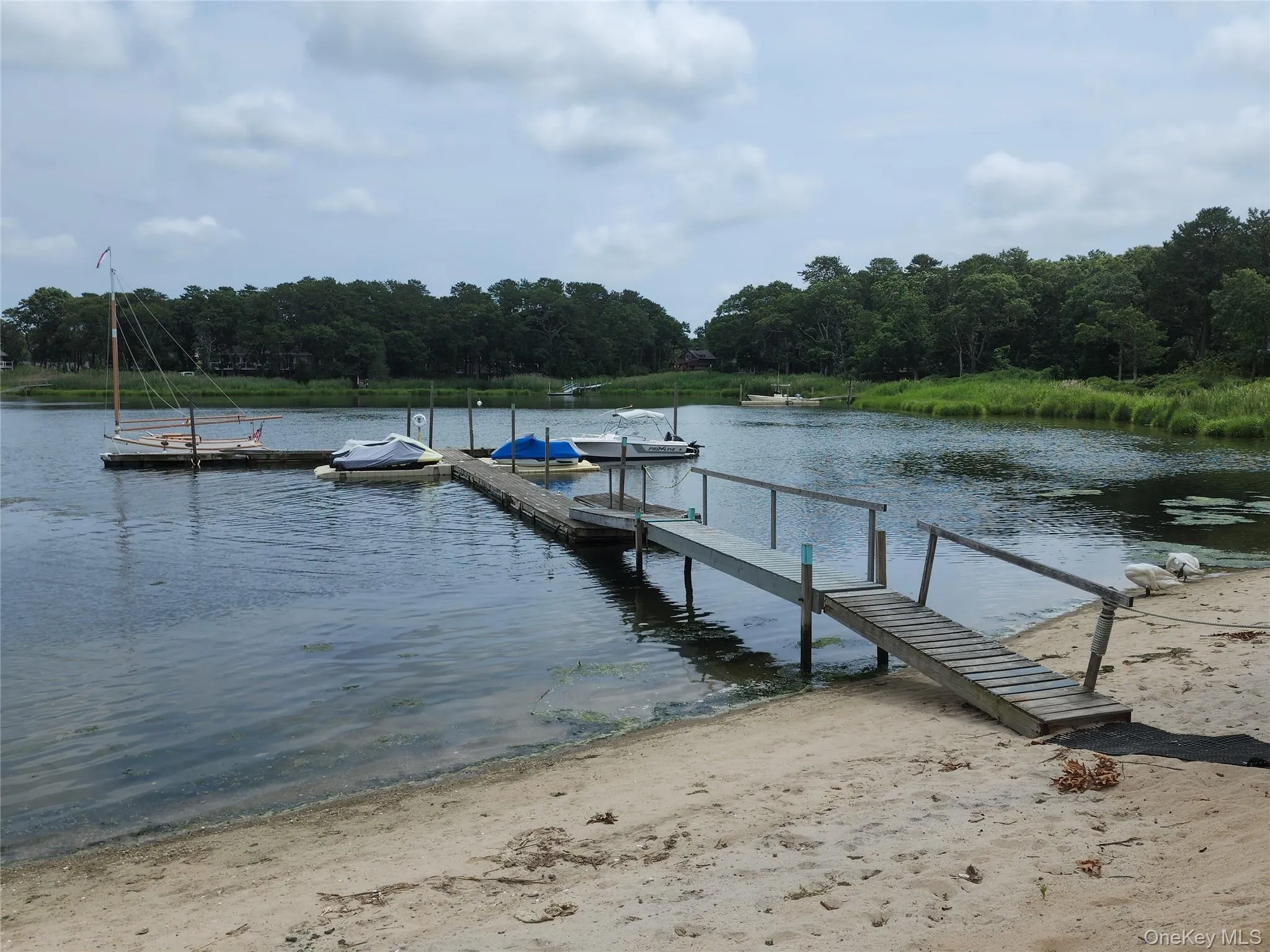 100 Reeves Bay Trail, Southampton, NY, 4 Bedrooms Bedrooms, 6 Rooms Rooms,1 BathroomBathrooms,Residential,For Rent,Reeves Bay,0,1040168 100 Reeves Bay Trail, Southampton, NY, 4 Bedrooms Bedrooms, 6 Rooms Rooms,1 BathroomBathrooms,Residential,For Rent,Reeves Bay,0,1040168