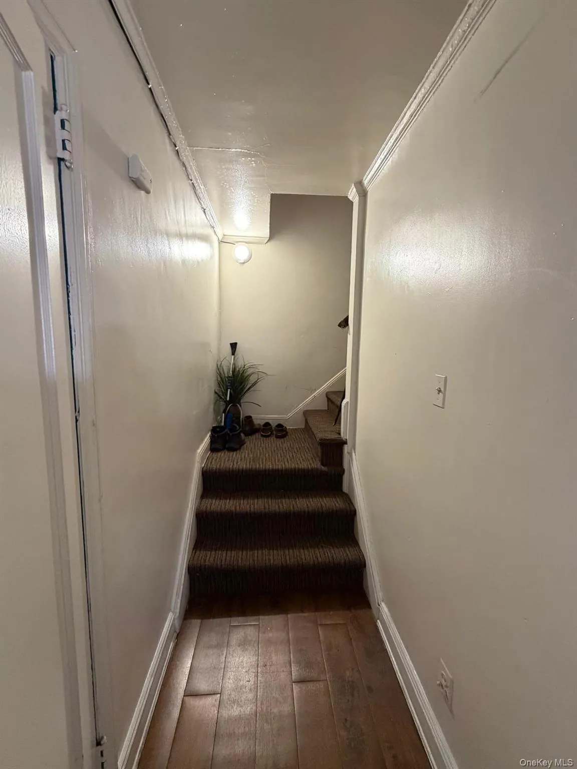 134 Stuart Avenue, Hempstead, NY, 3 Bedrooms Bedrooms, 6 Rooms Rooms,1 BathroomBathrooms,Residential Lease,For Rent,Stuart,0,1040232 134 Stuart Avenue, Hempstead, NY, 3 Bedrooms Bedrooms, 6 Rooms Rooms,1 BathroomBathrooms,Residential Lease,For Rent,Stuart,0,1040232